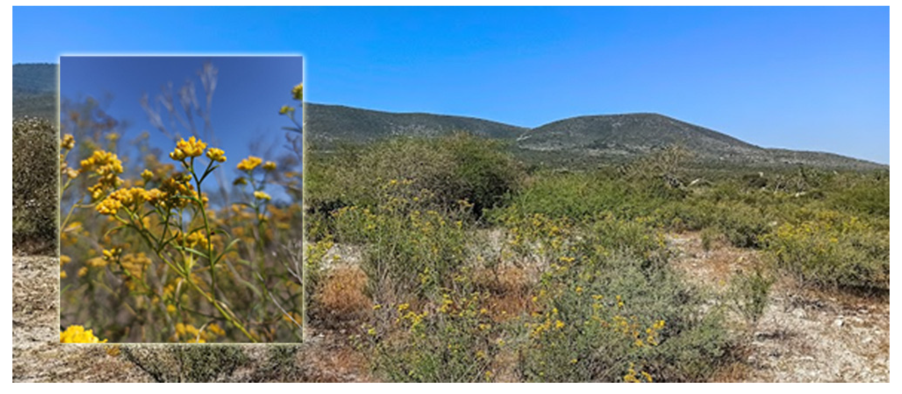 Separations 10 00406 g001 Separations 10 00406 g001