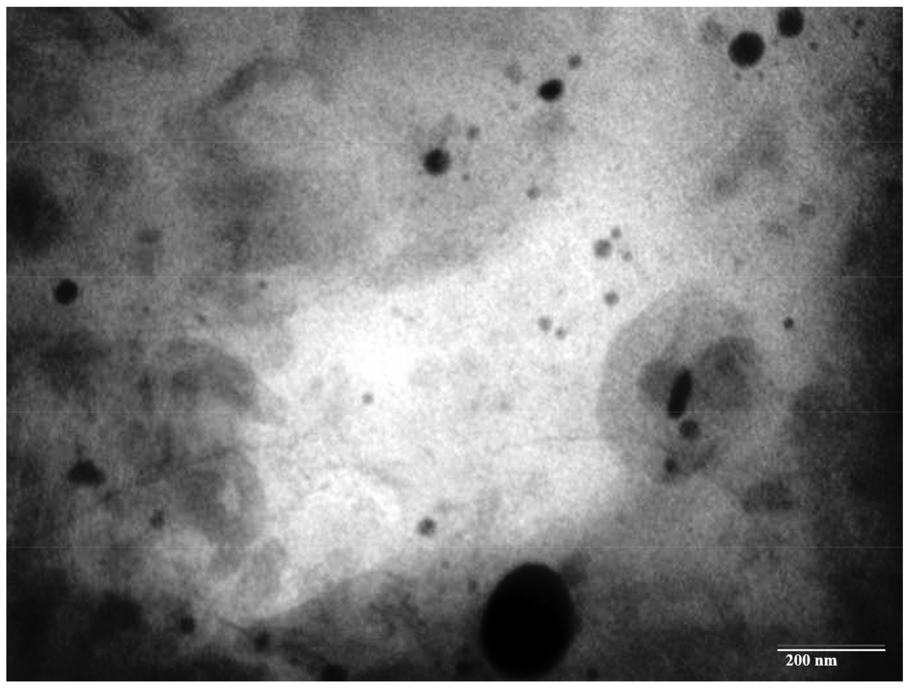 Separations 10 00423 g003