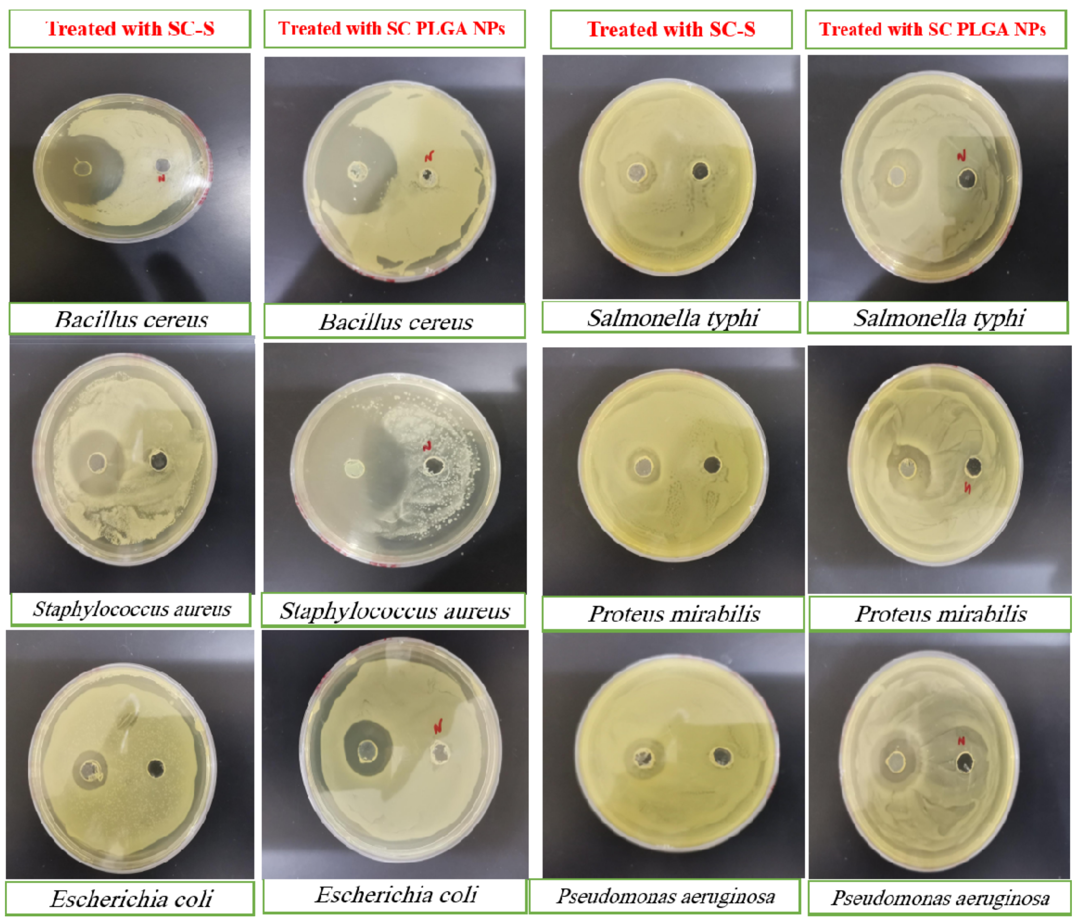 Separations 10 00423 g006