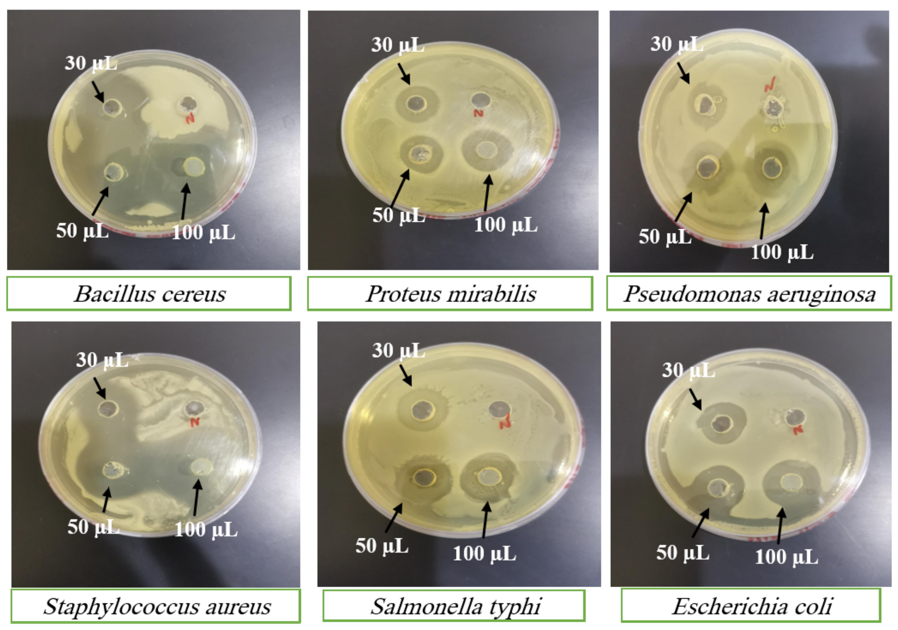 Separations 10 00423 g007