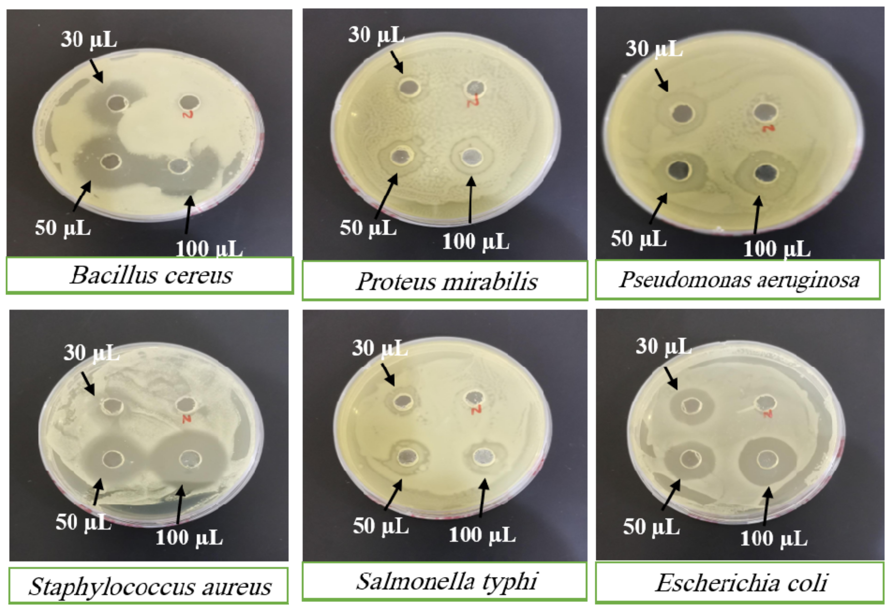 Separations 10 00423 g008