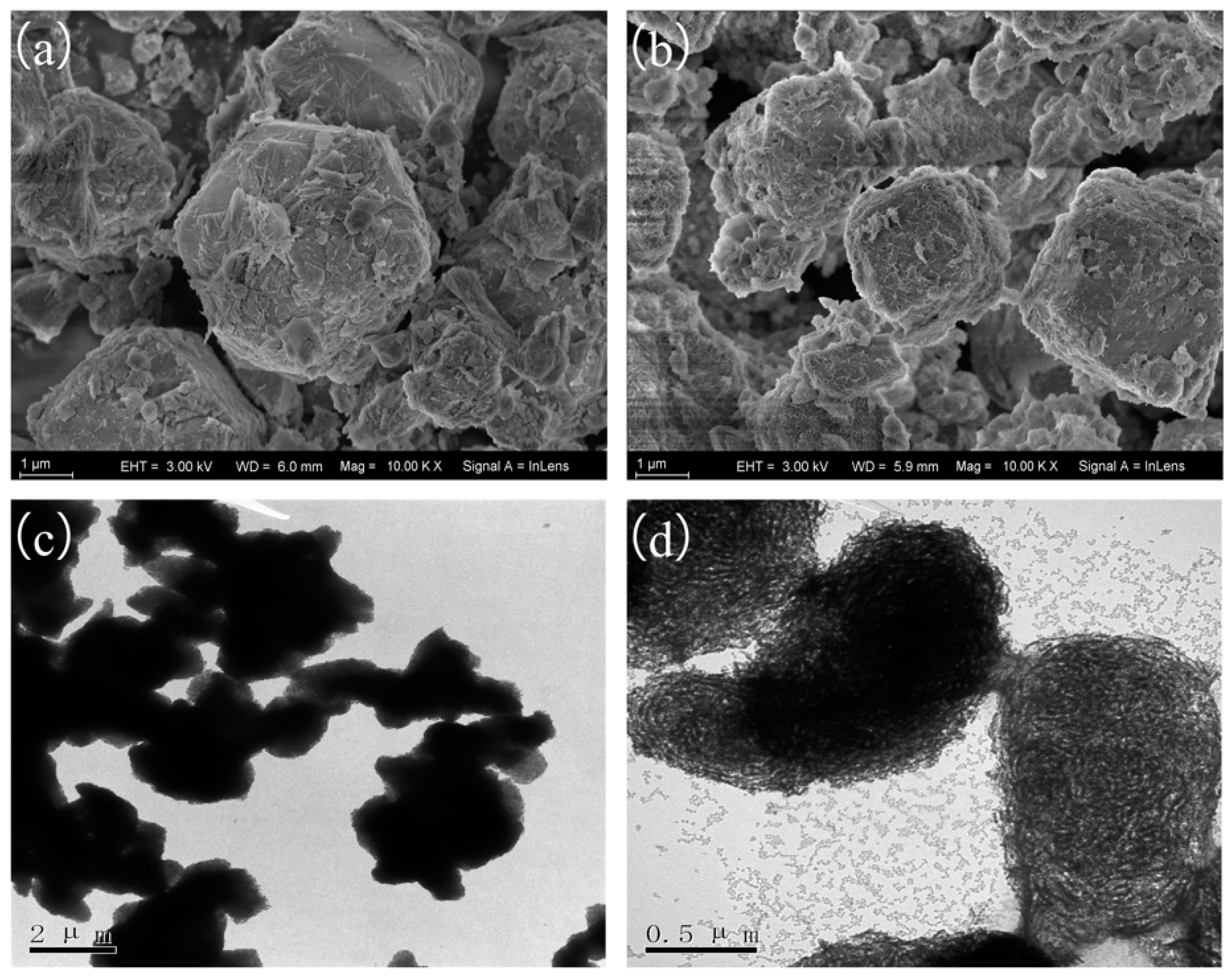 Separations 10 00429 g002