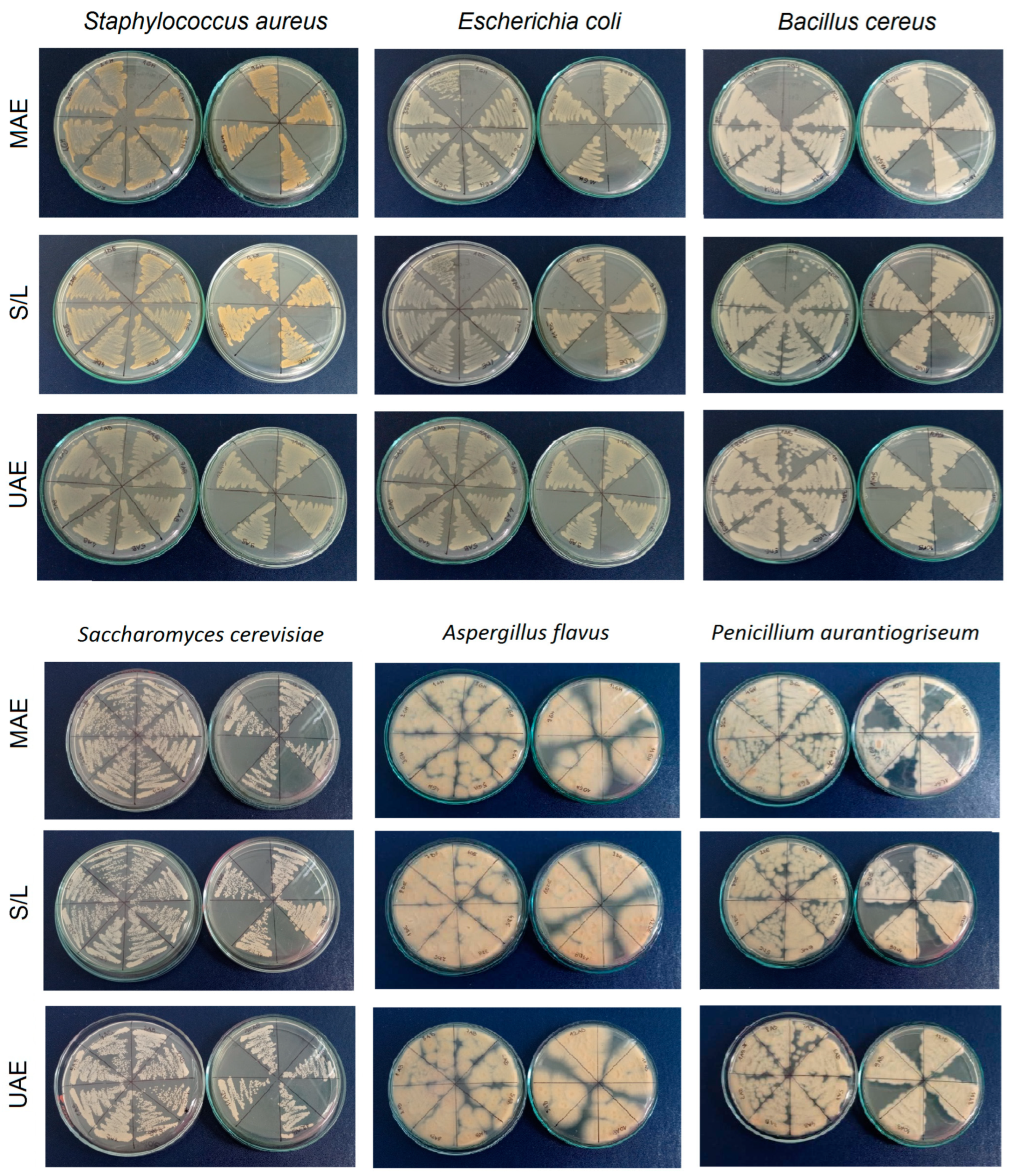 Separations 10 00465 g006