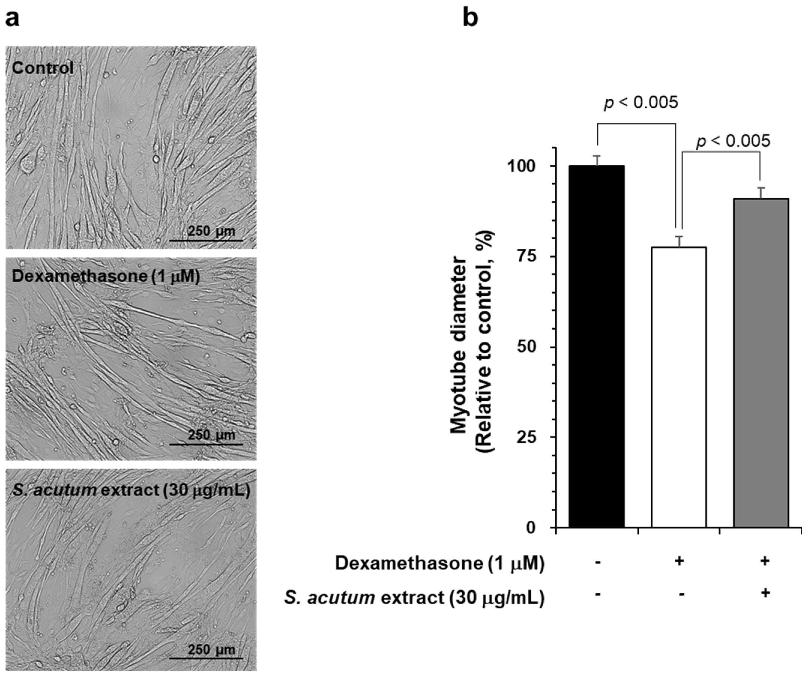 Separations 10 00470 g001