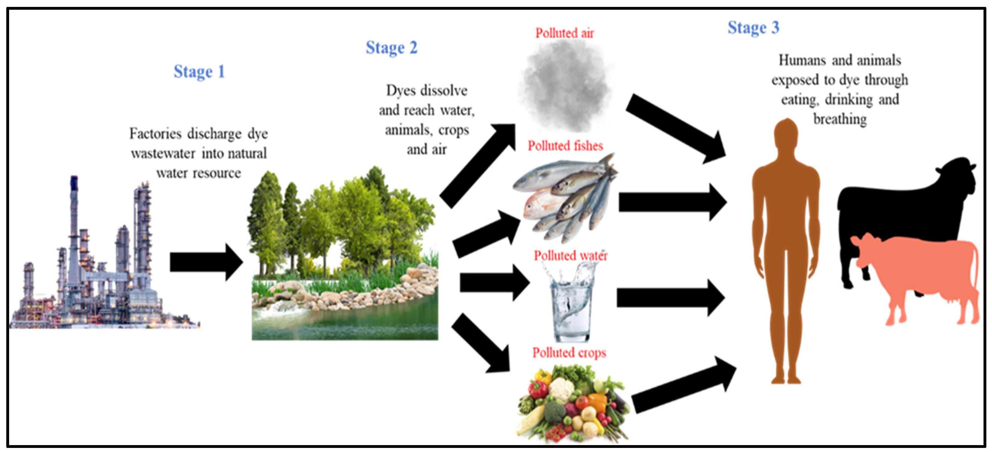 Separations 10 00506 g004