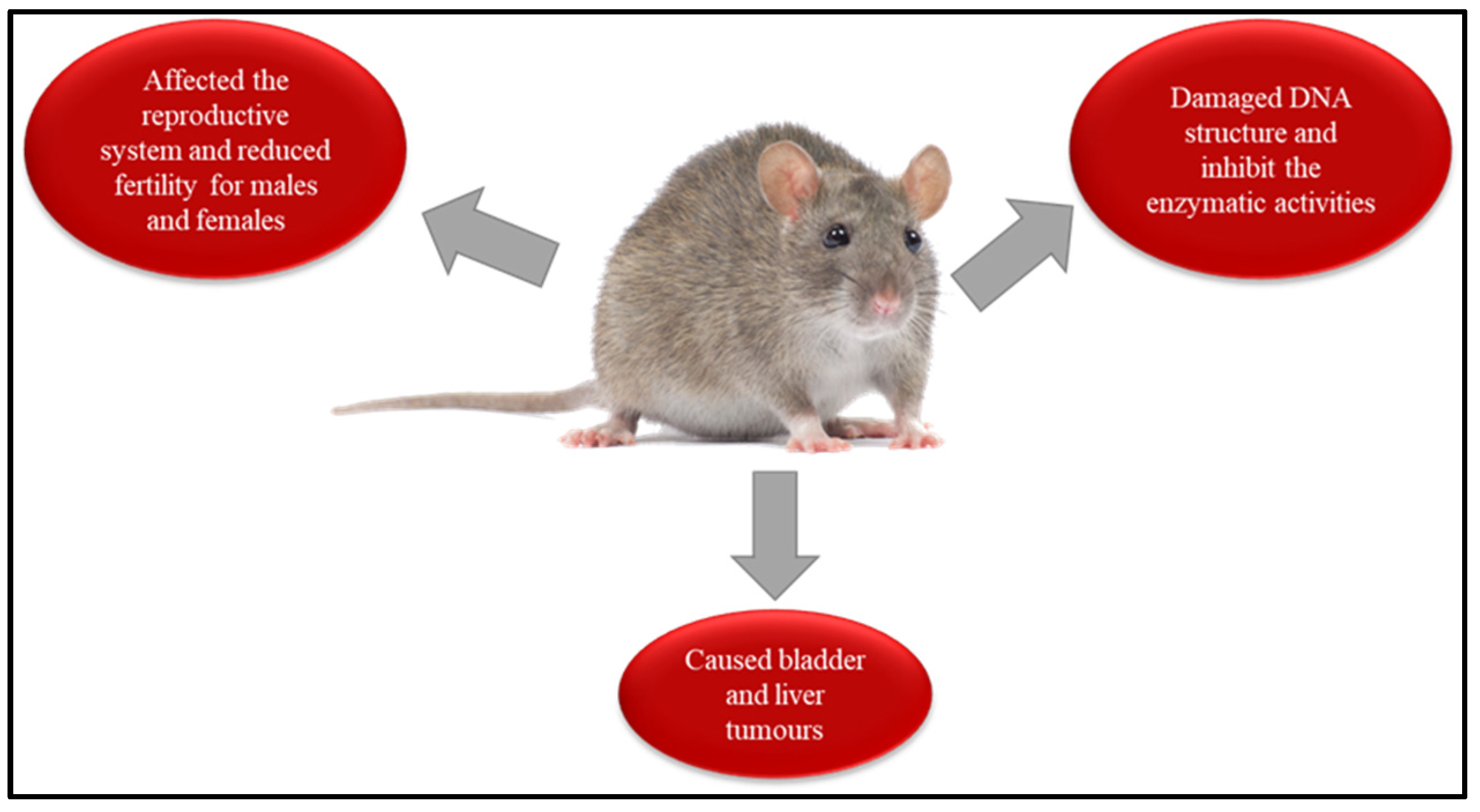 Separations 10 00506 g010