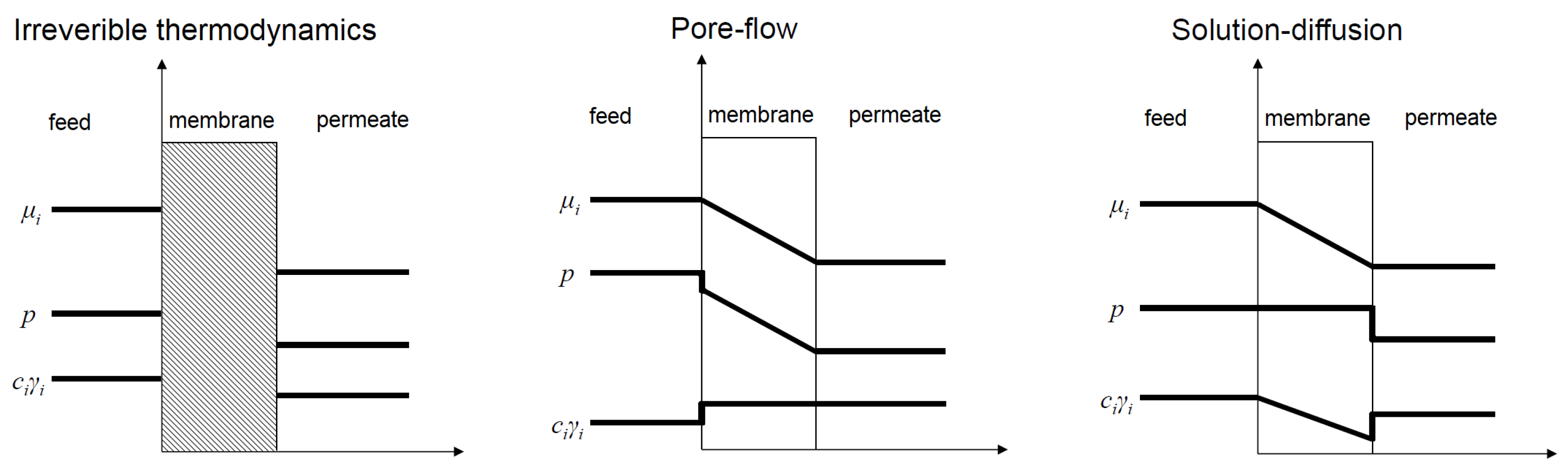 Separations 10 00516 g002