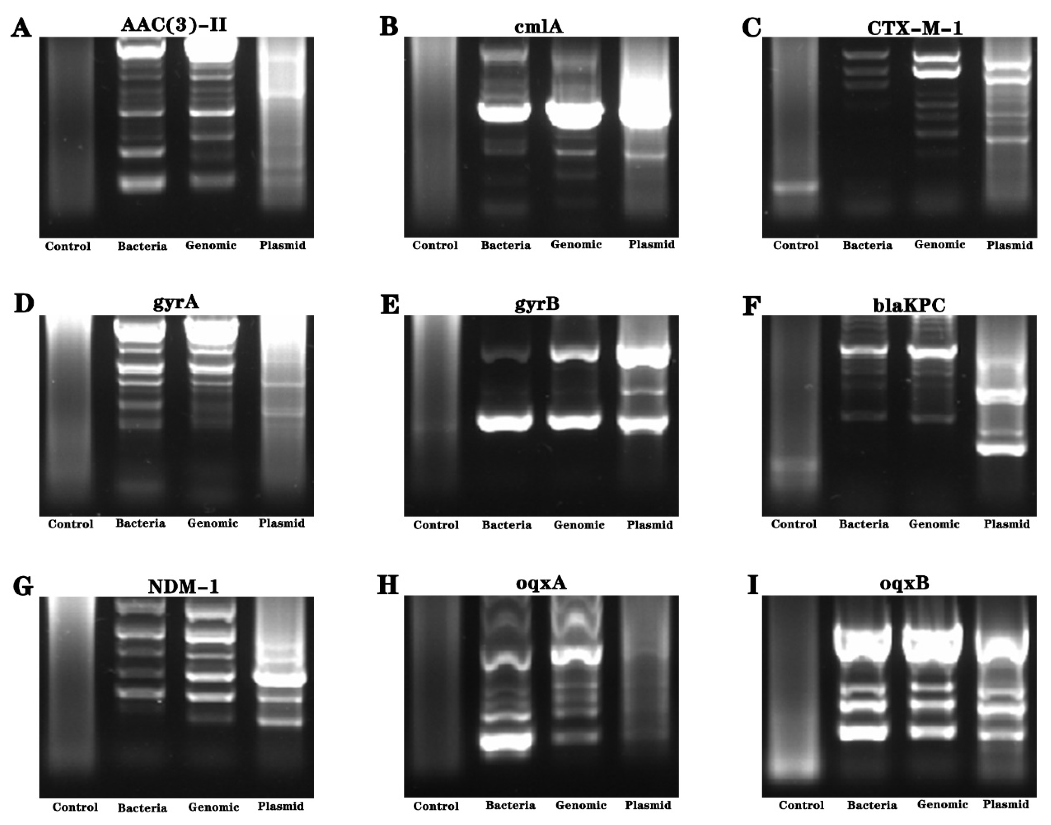 Separations 10 00549 g004