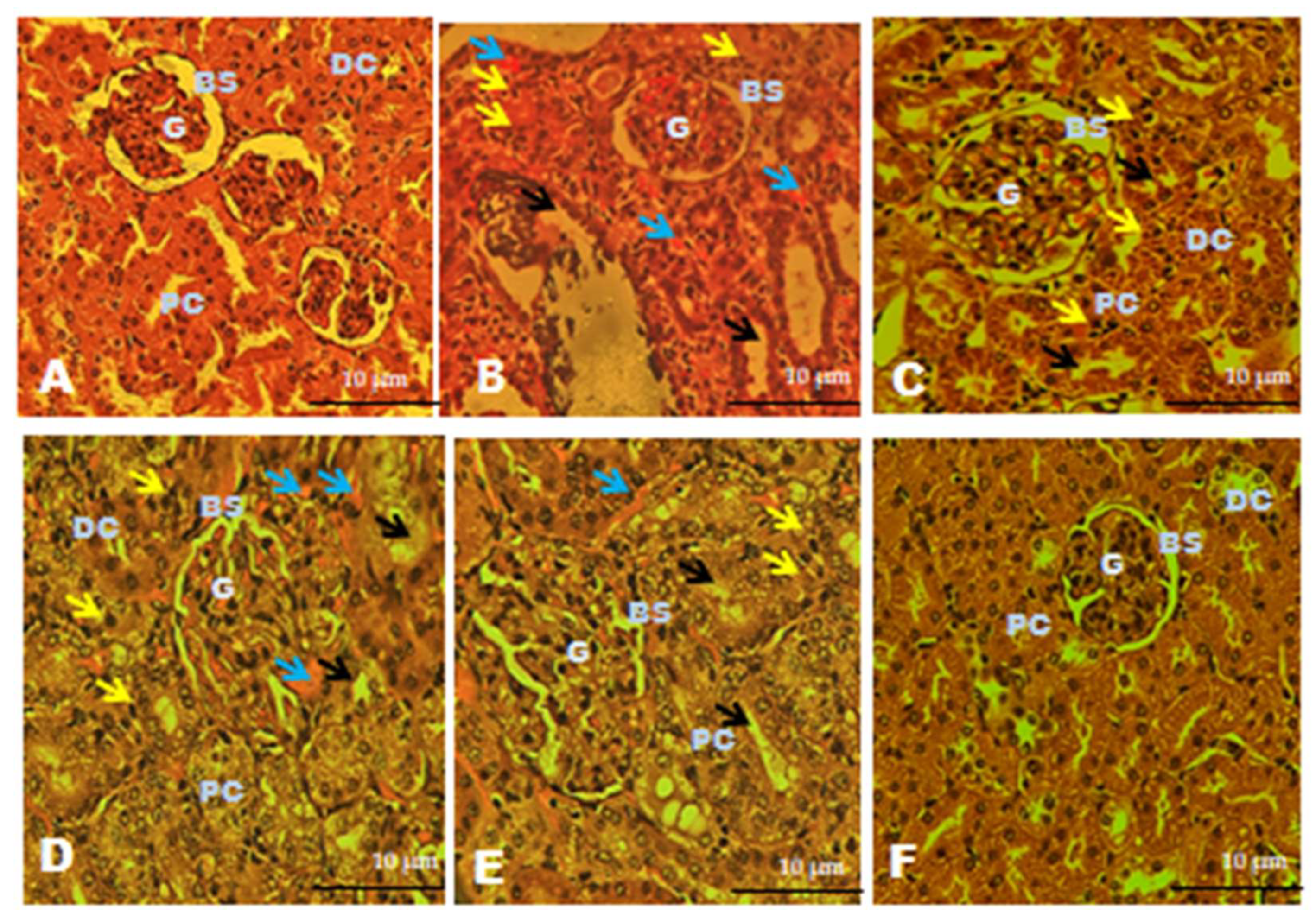 Separations 10 00552 g010