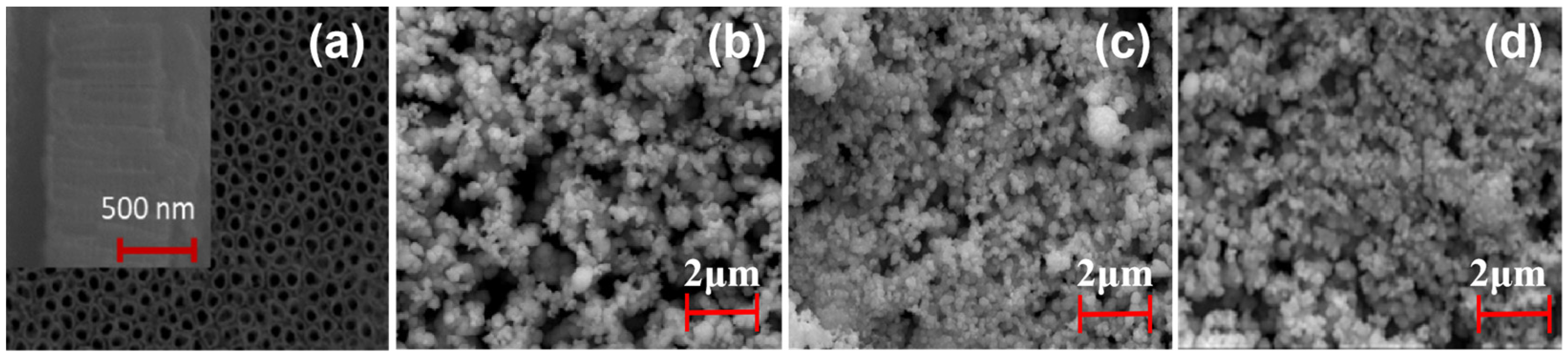 Separations 10 00560 g002