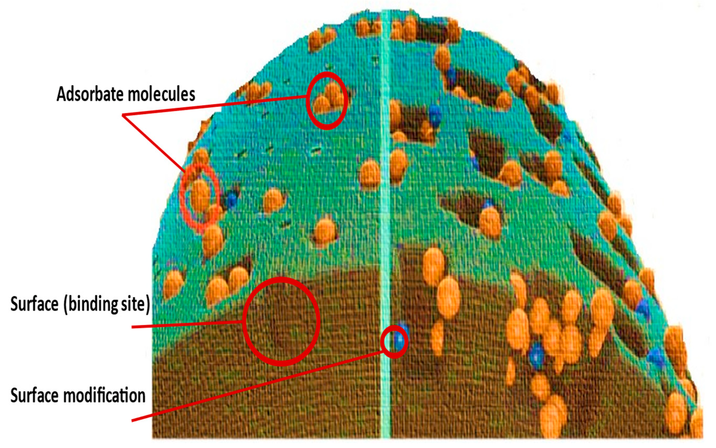 Separations 10 00565 g004