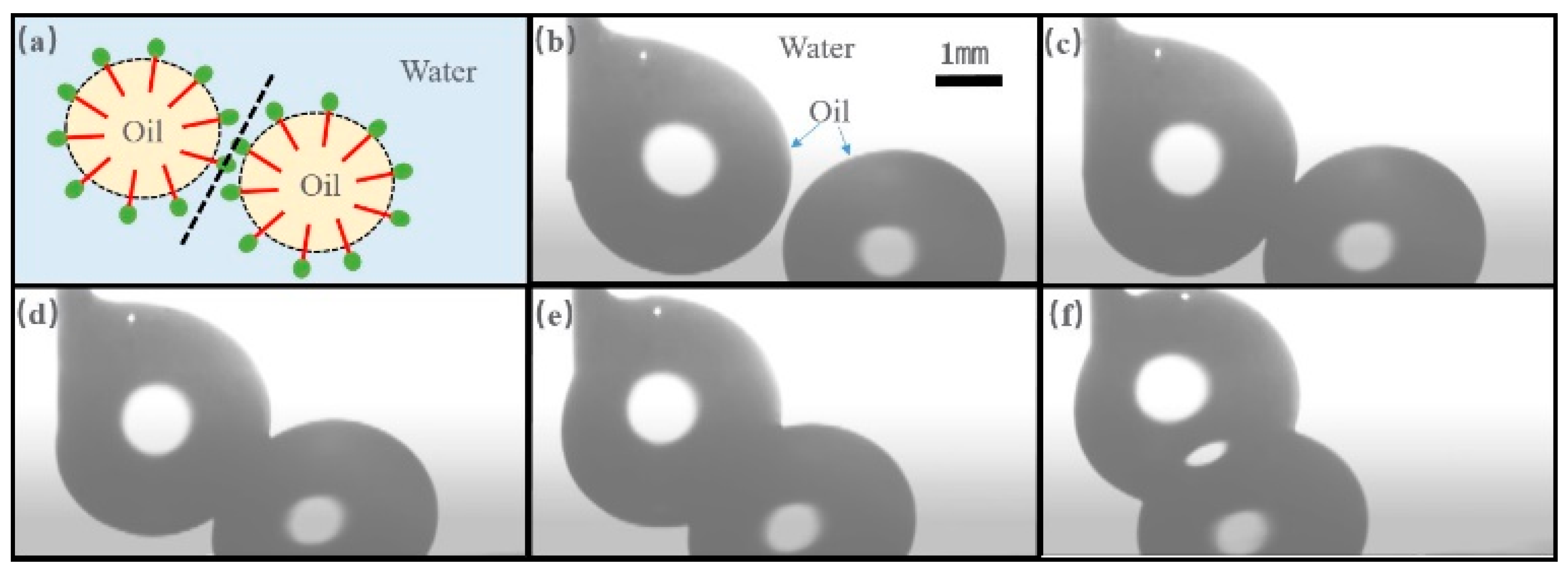 Separations 10 00569 g002