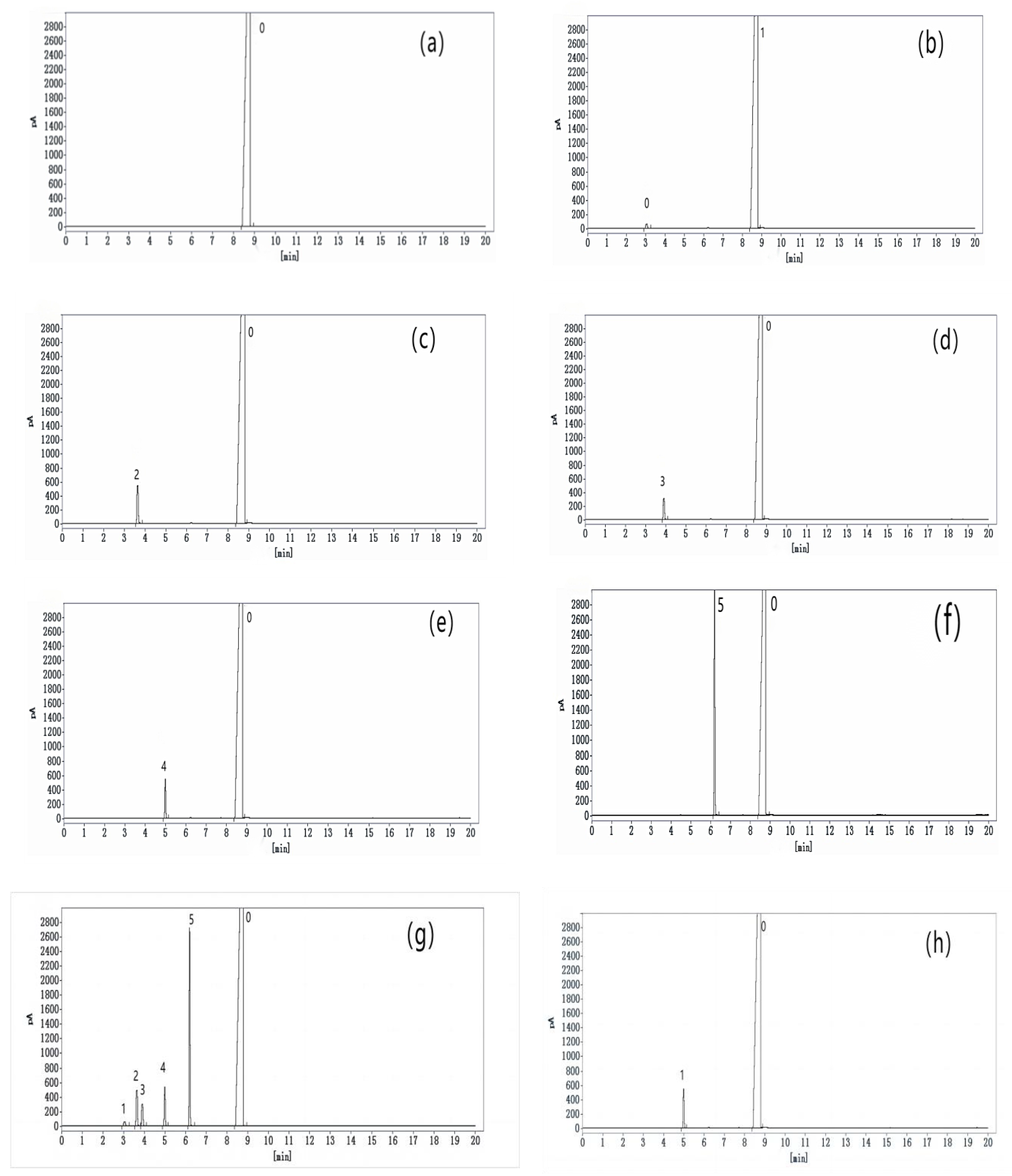 Separations 10 00573 g002