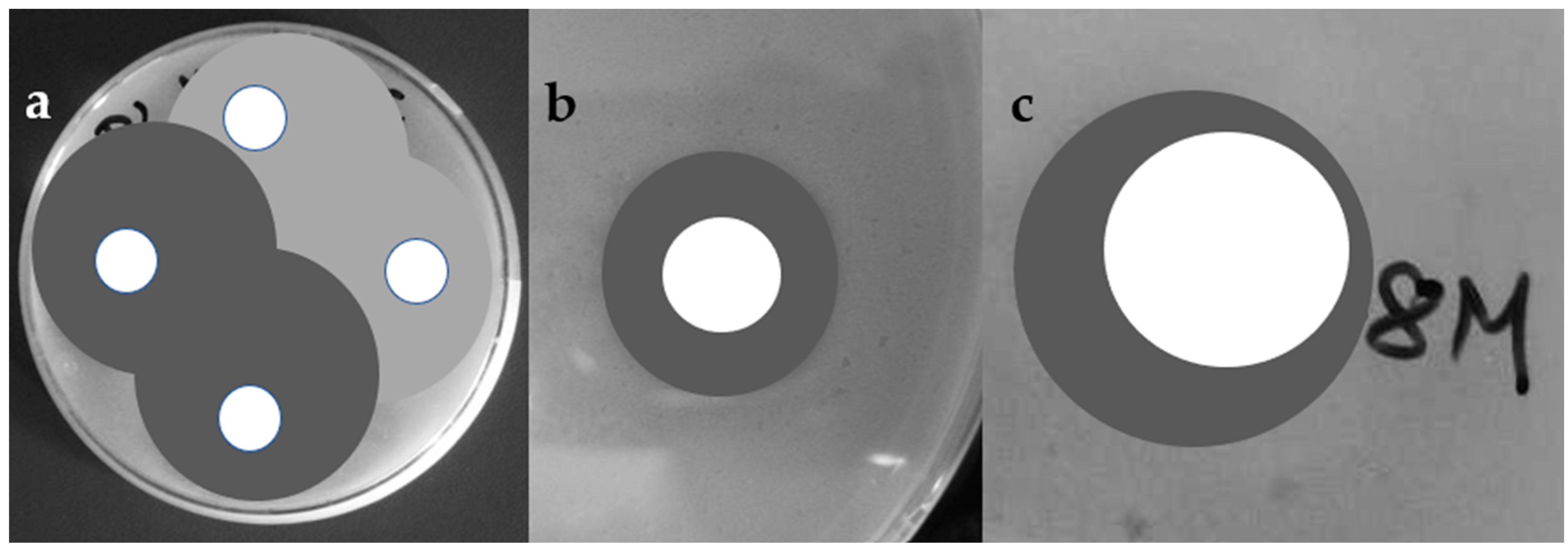 Separations 10 00575 g003
