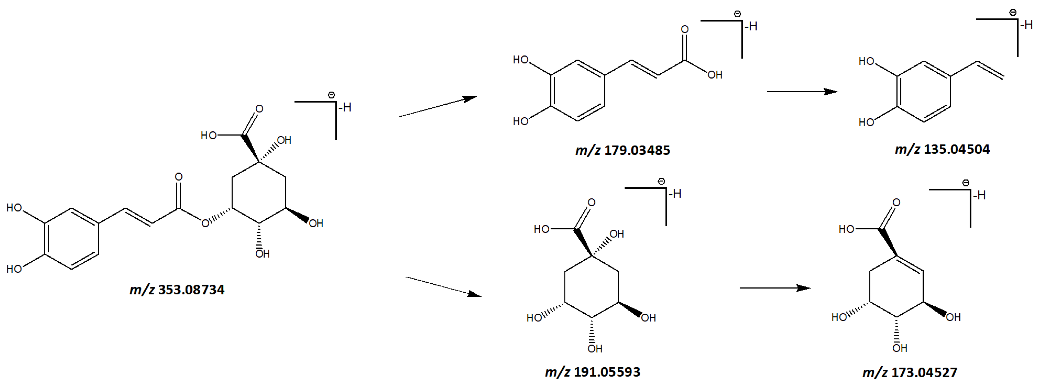 Separations 10 00588 g005