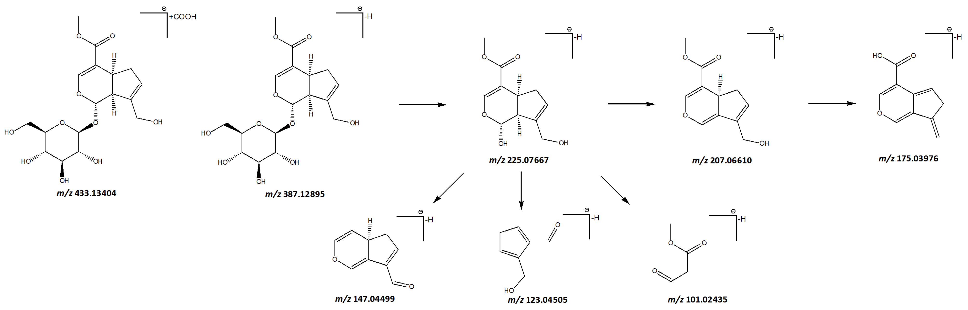 Separations 10 00588 g007