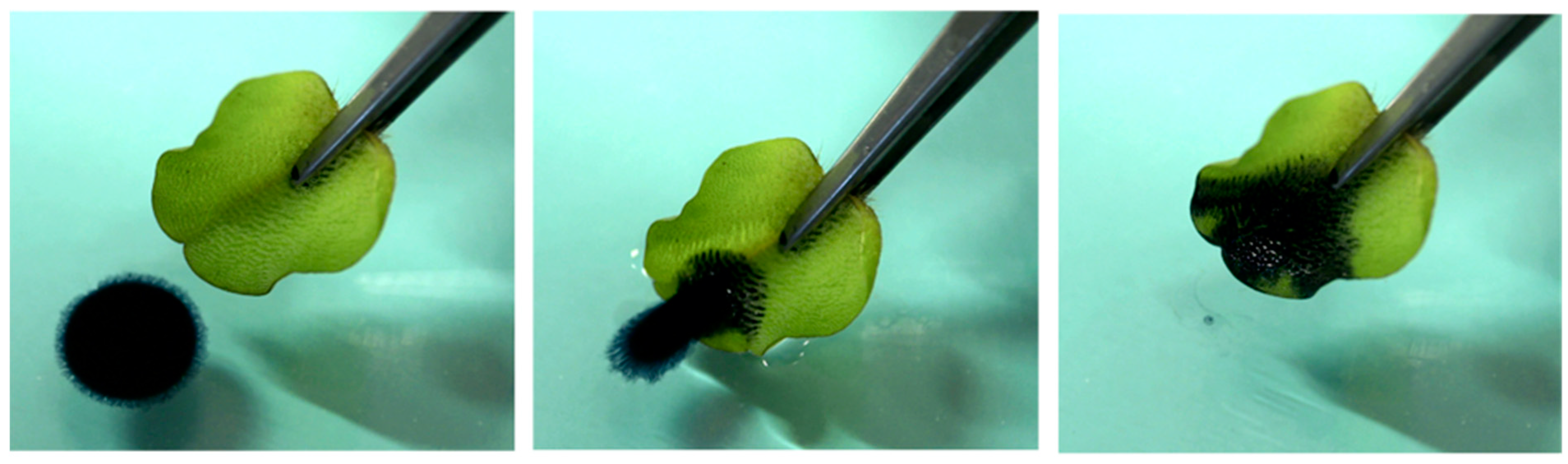 Separations 10 00592 g001