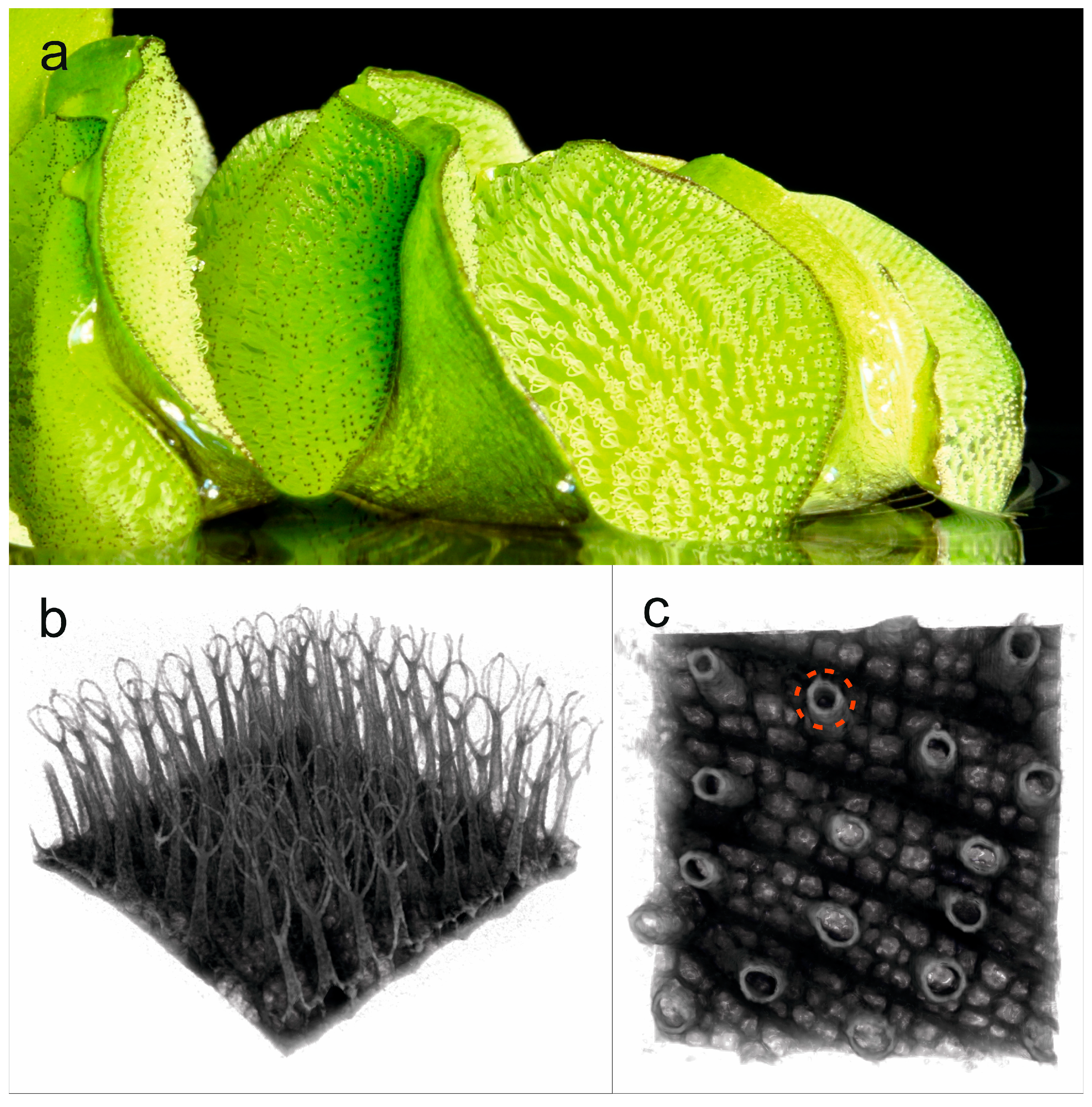 Separations 10 00592 g002