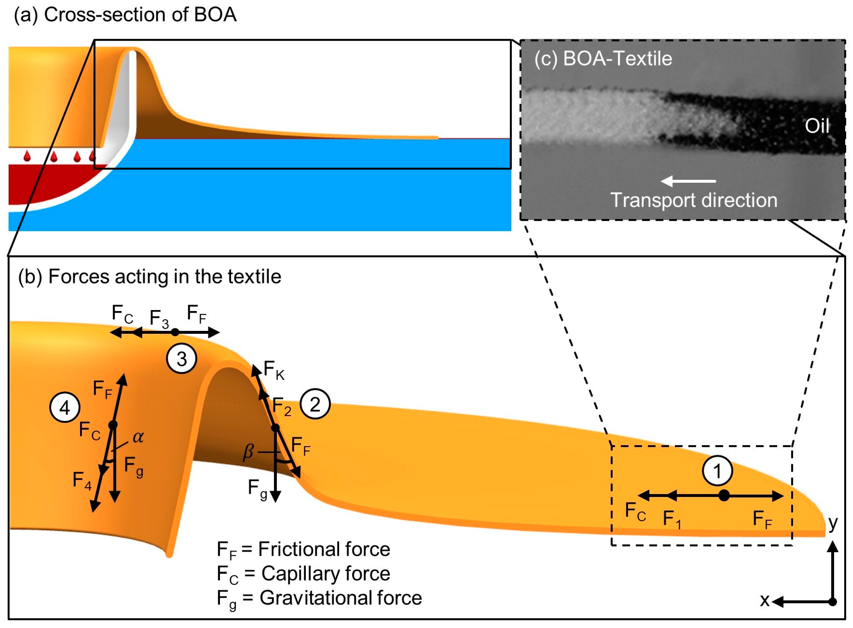 Separations 10 00592 g004