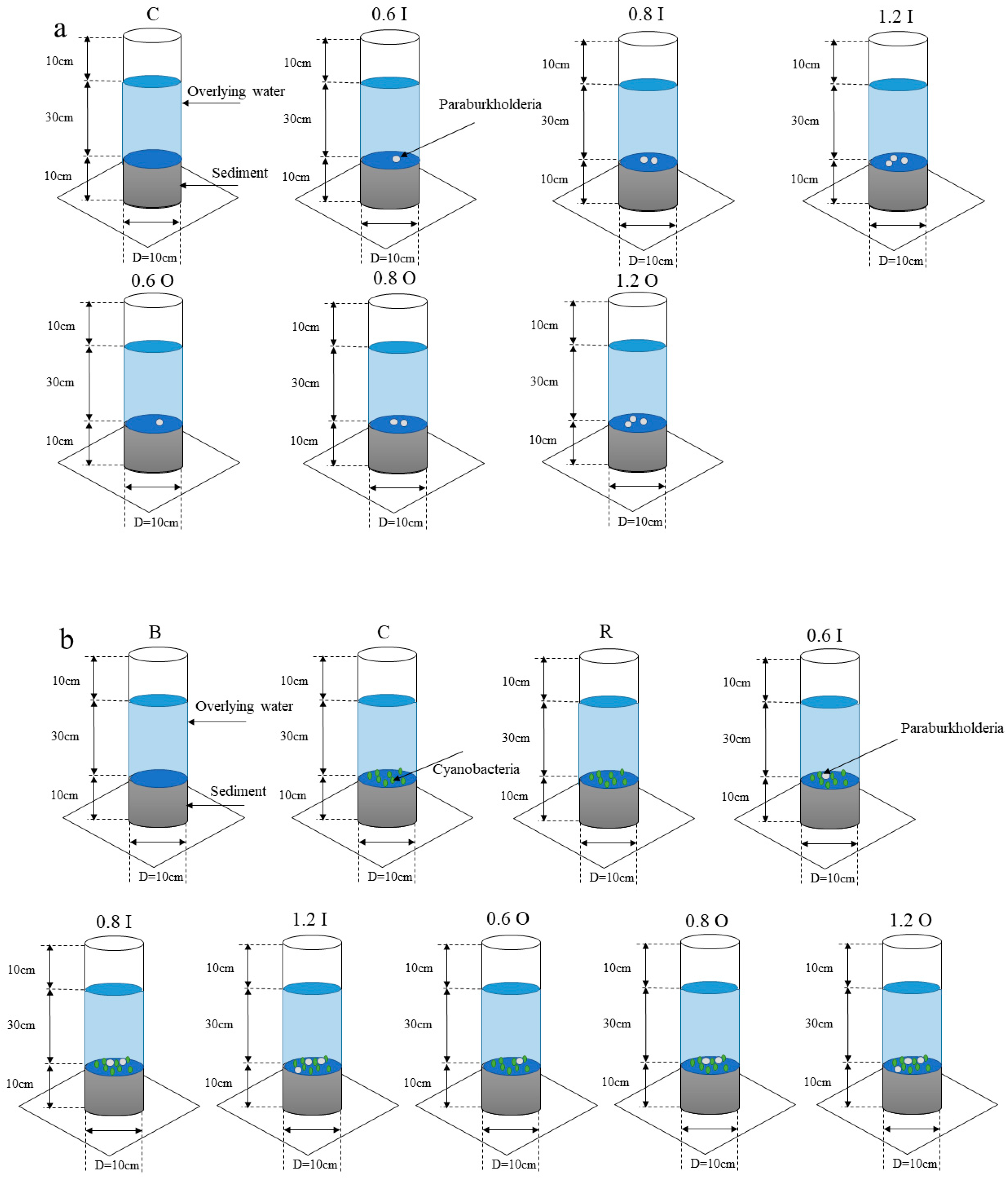 Separations 10 00595 g001