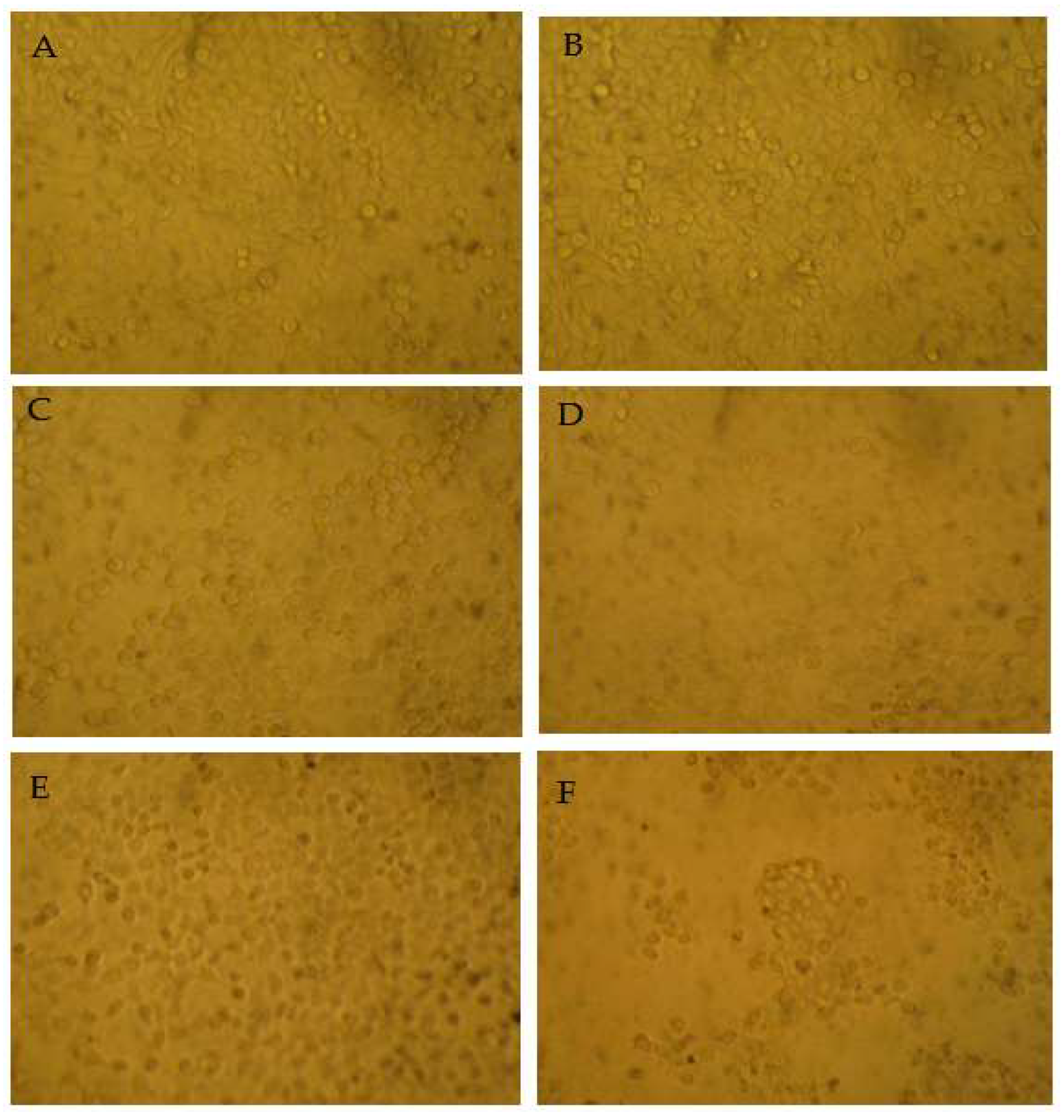 Separations 11 00004 g007