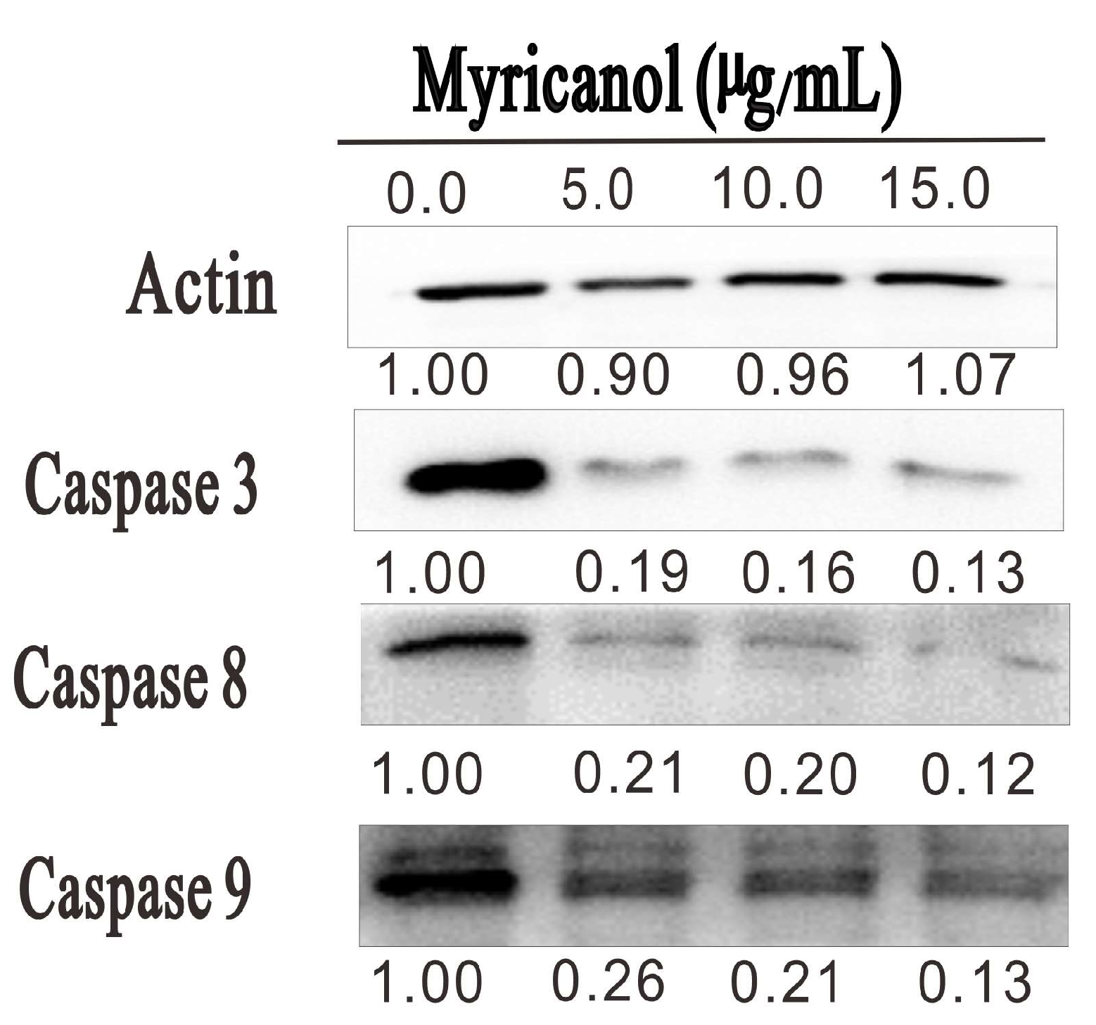 Separations 11 00004 g008