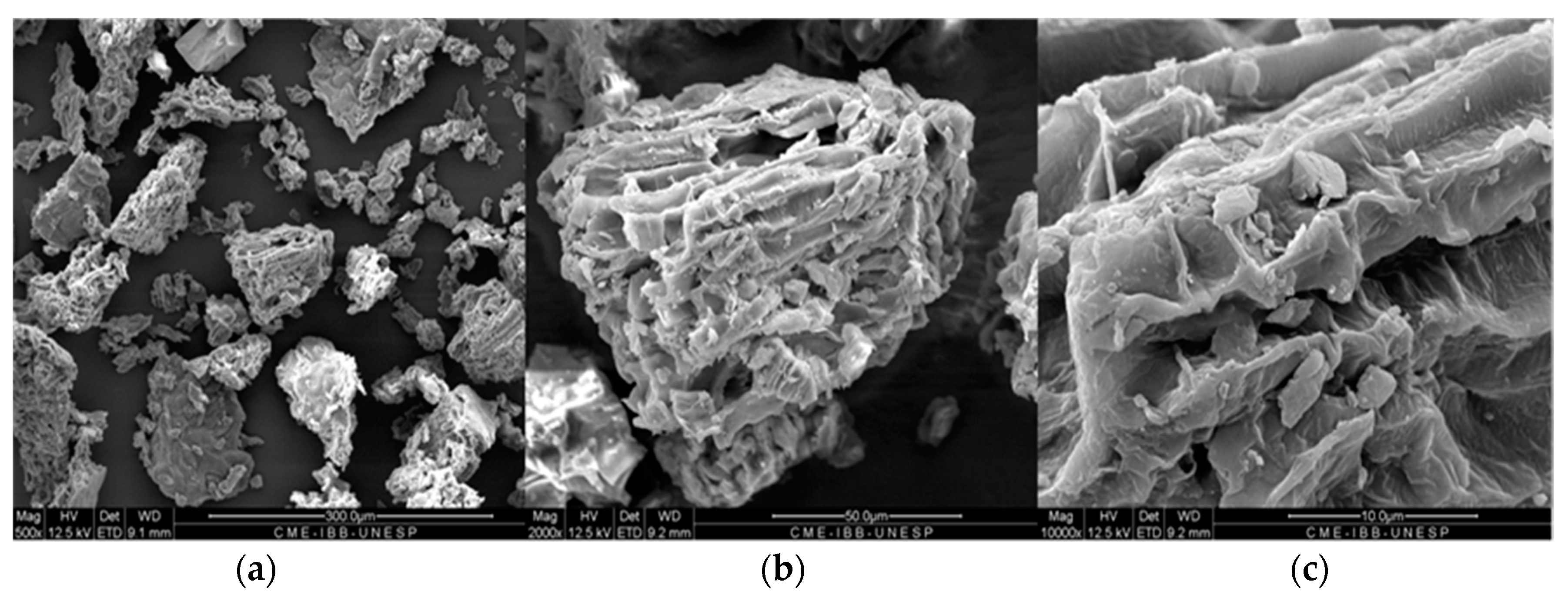 Separations 11 00012 g004