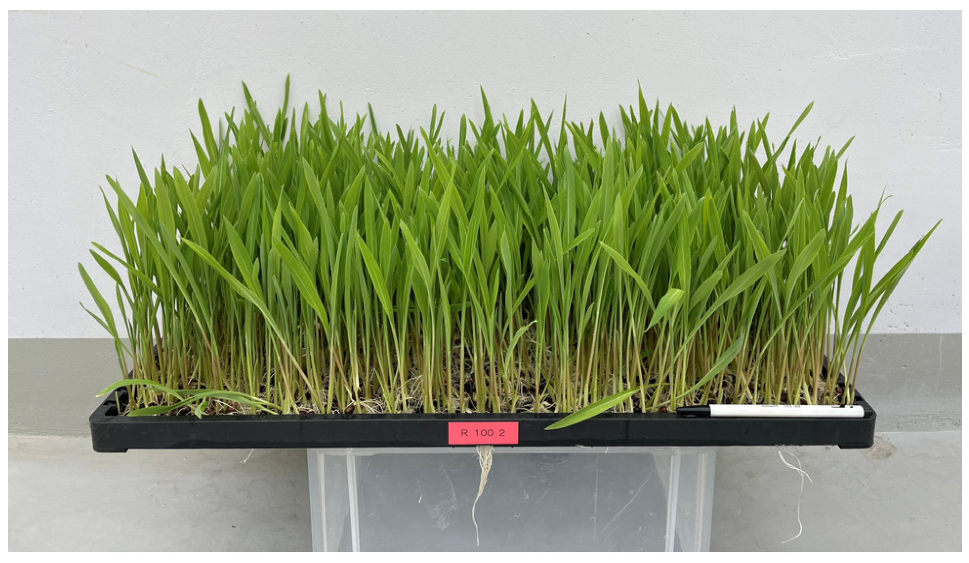 Separations 11 00032 g001