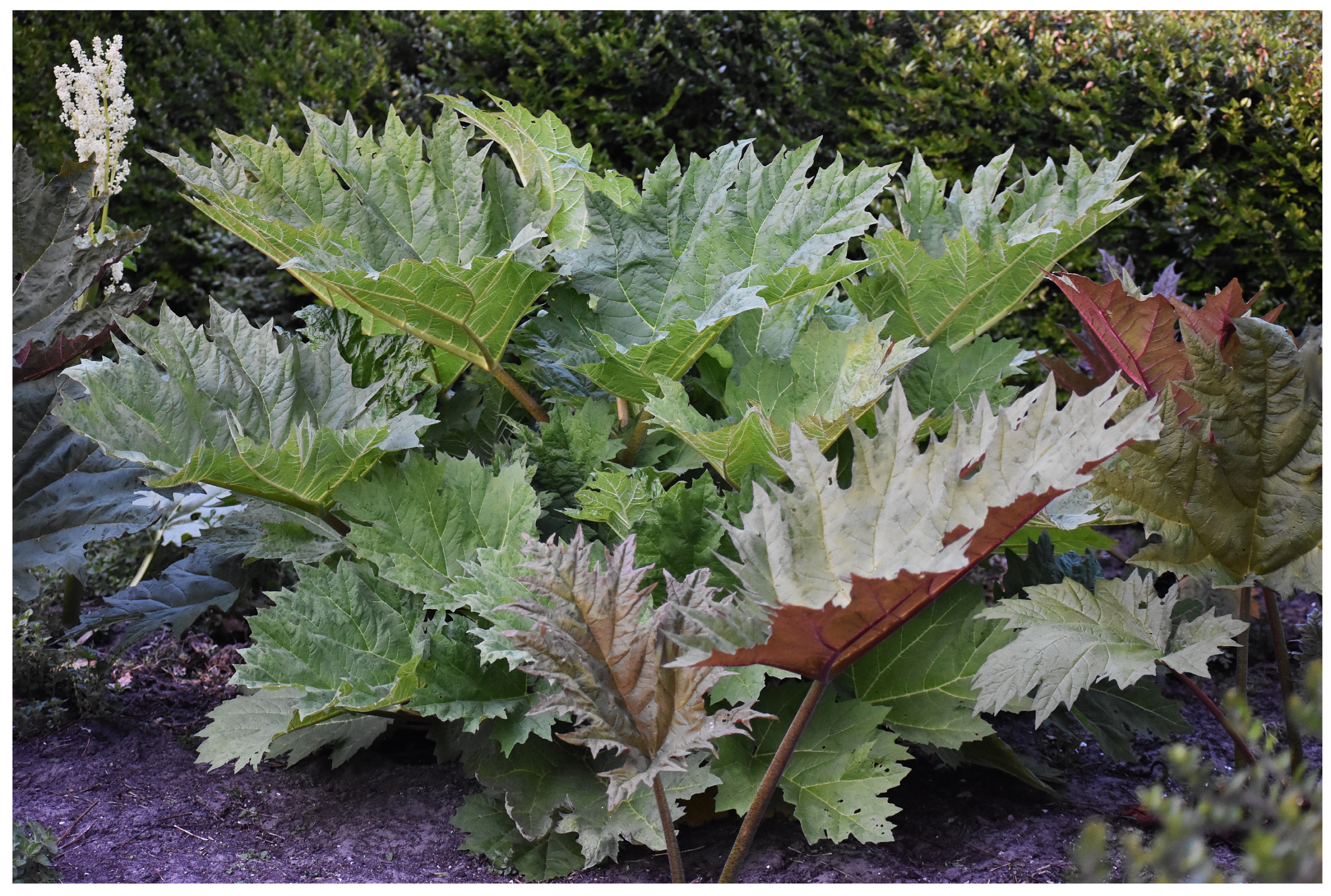 Separations 11 00047 g001