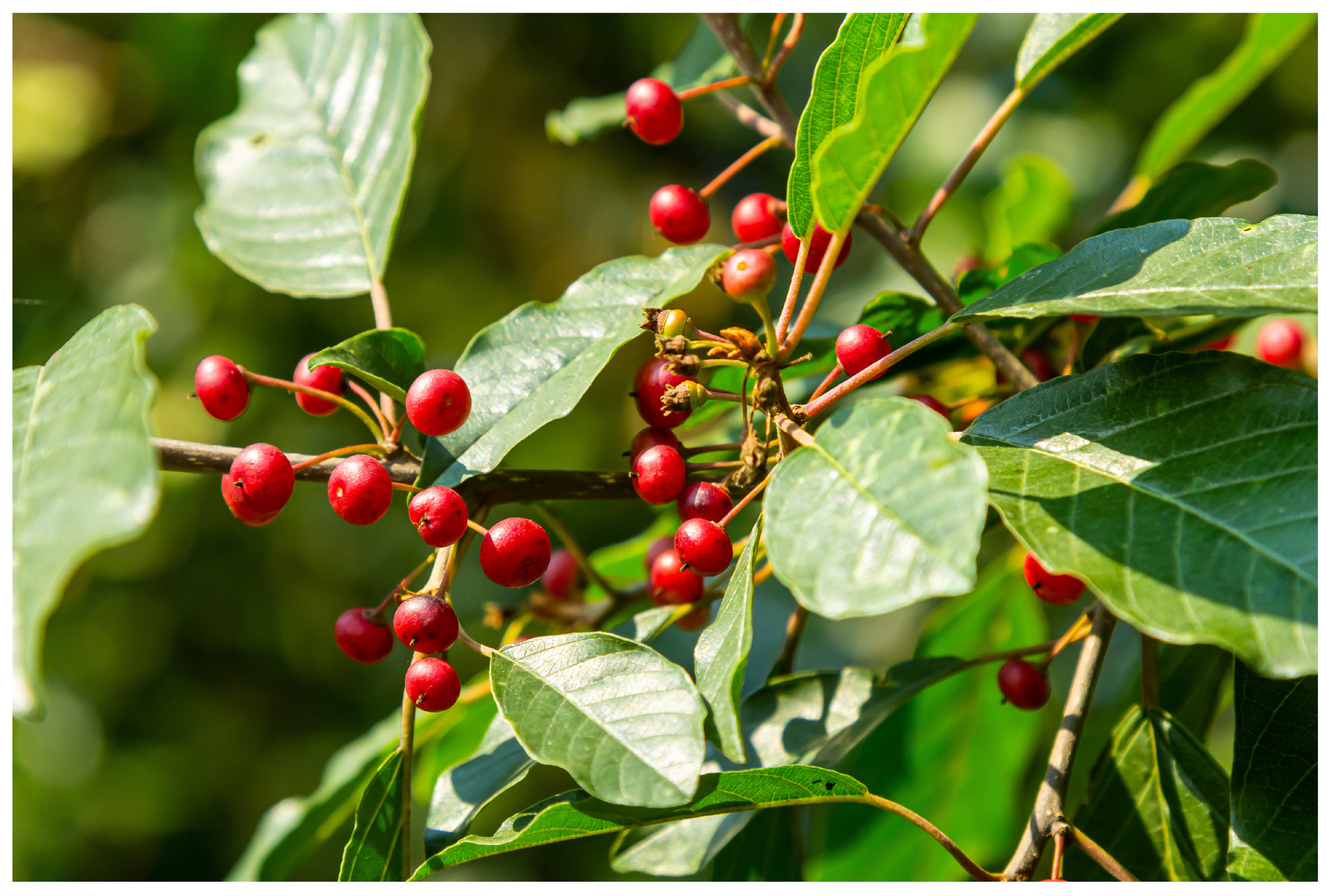 Separations 11 00047 g003