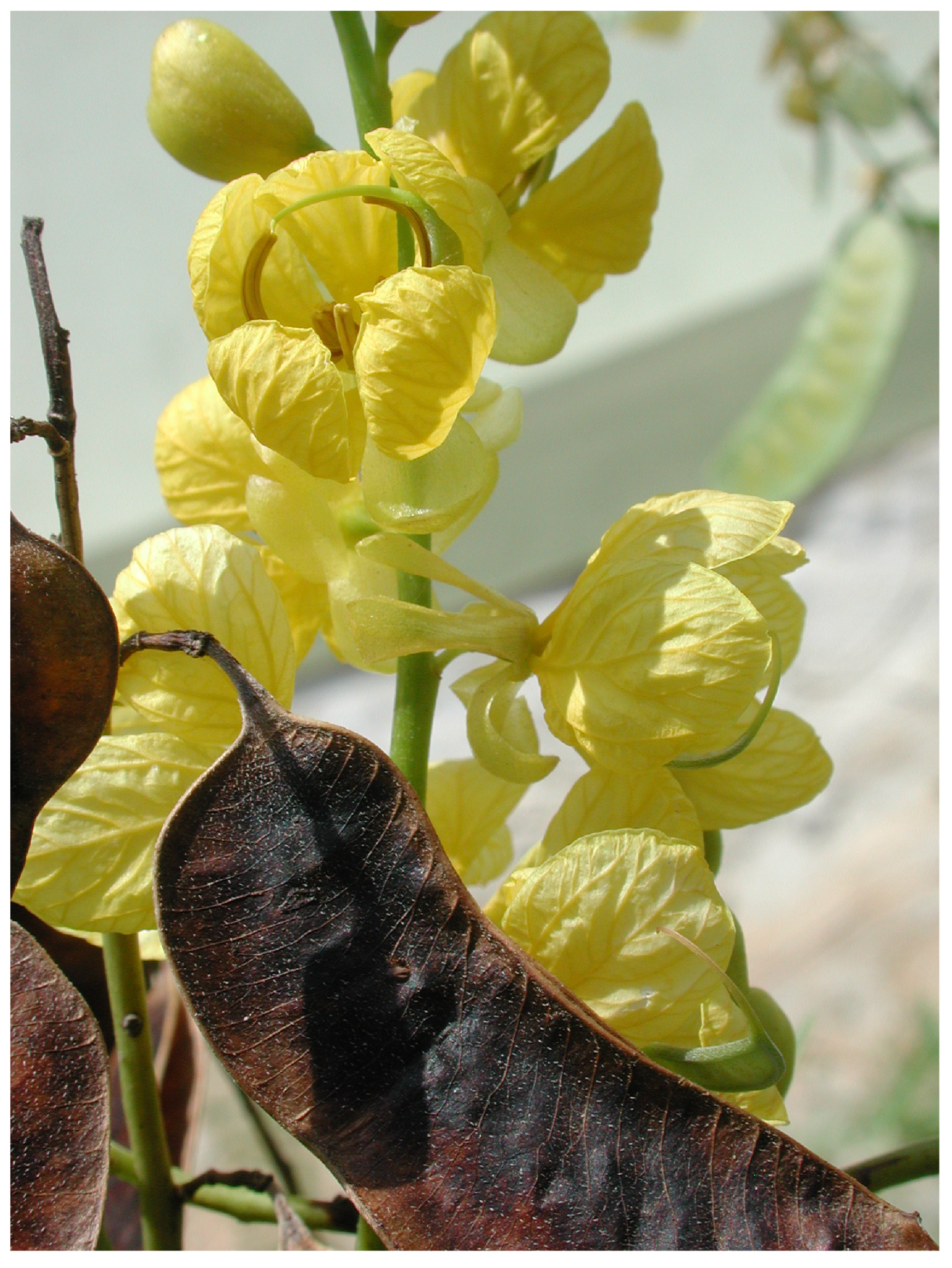 Separations 11 00047 g004