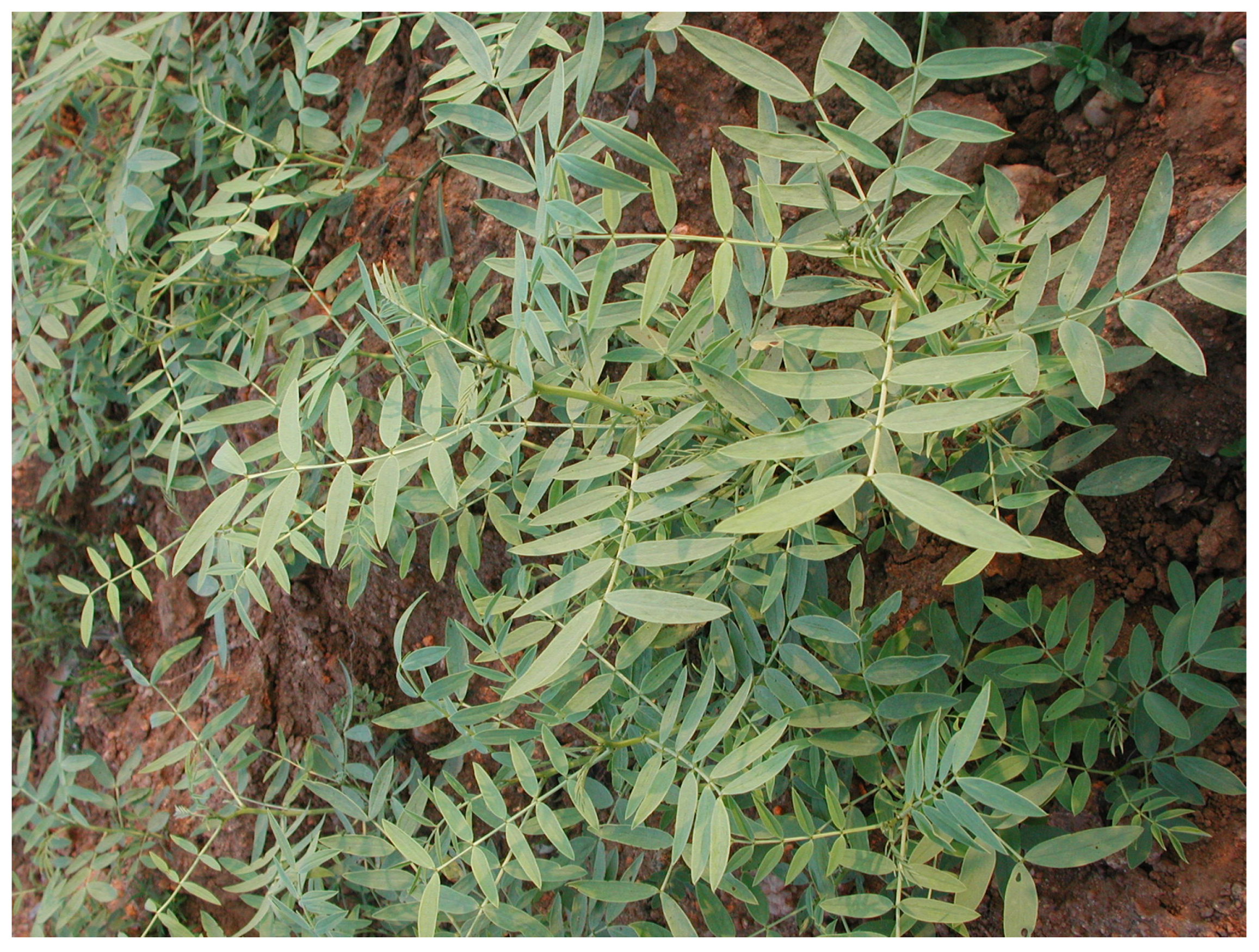 Separations 11 00047 g005