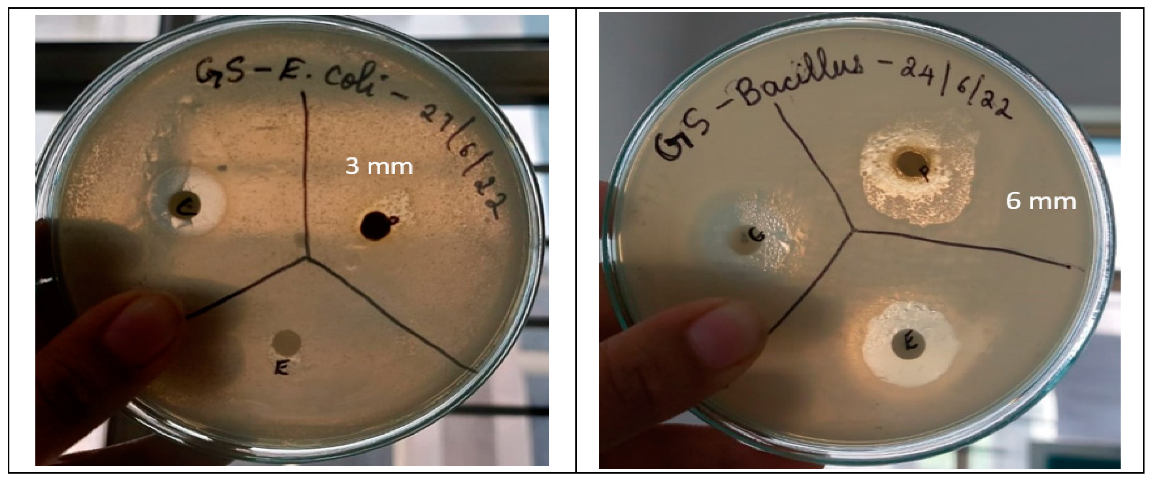 Separations 11 00050 g002