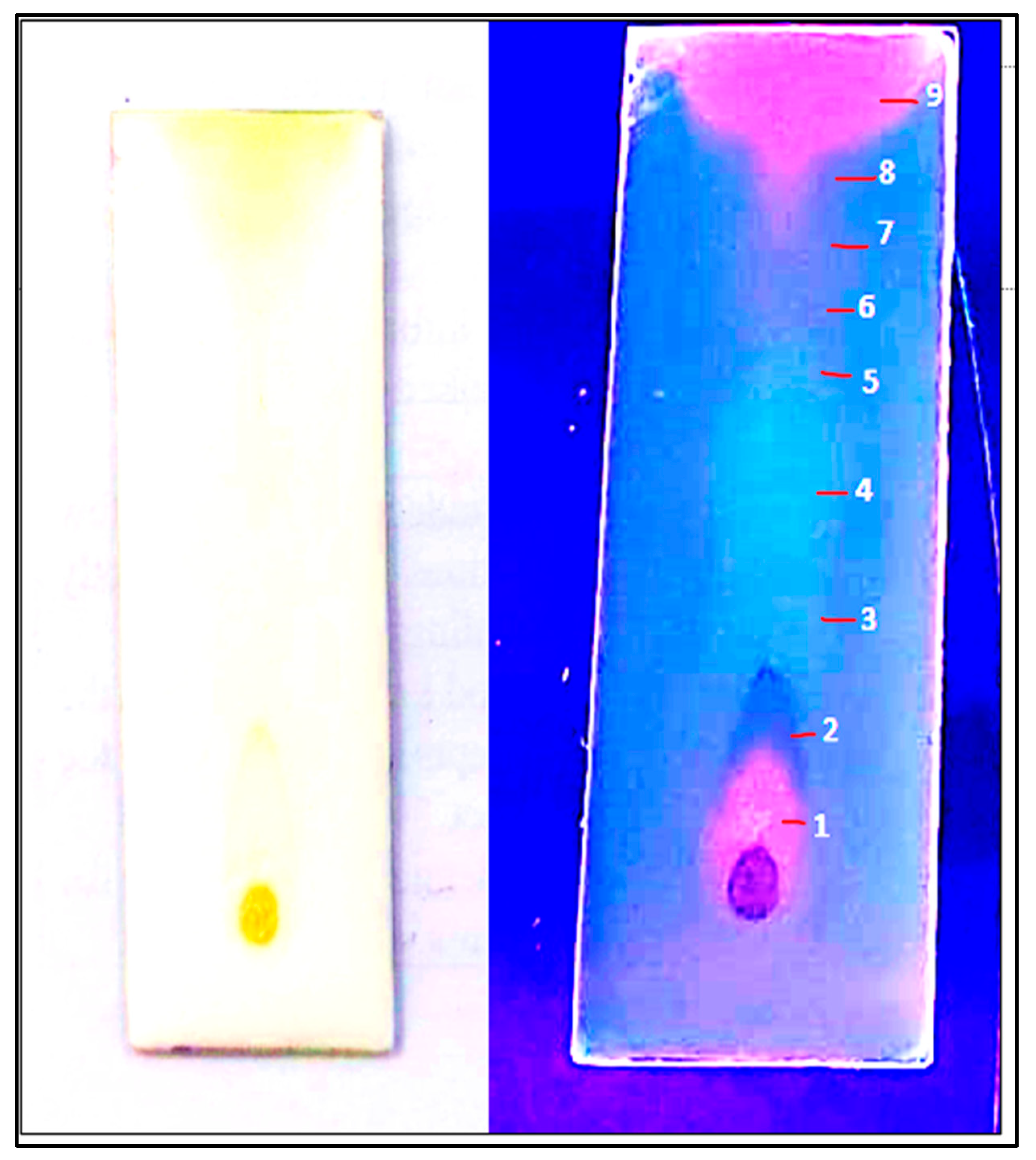 Separations 11 00050 g005