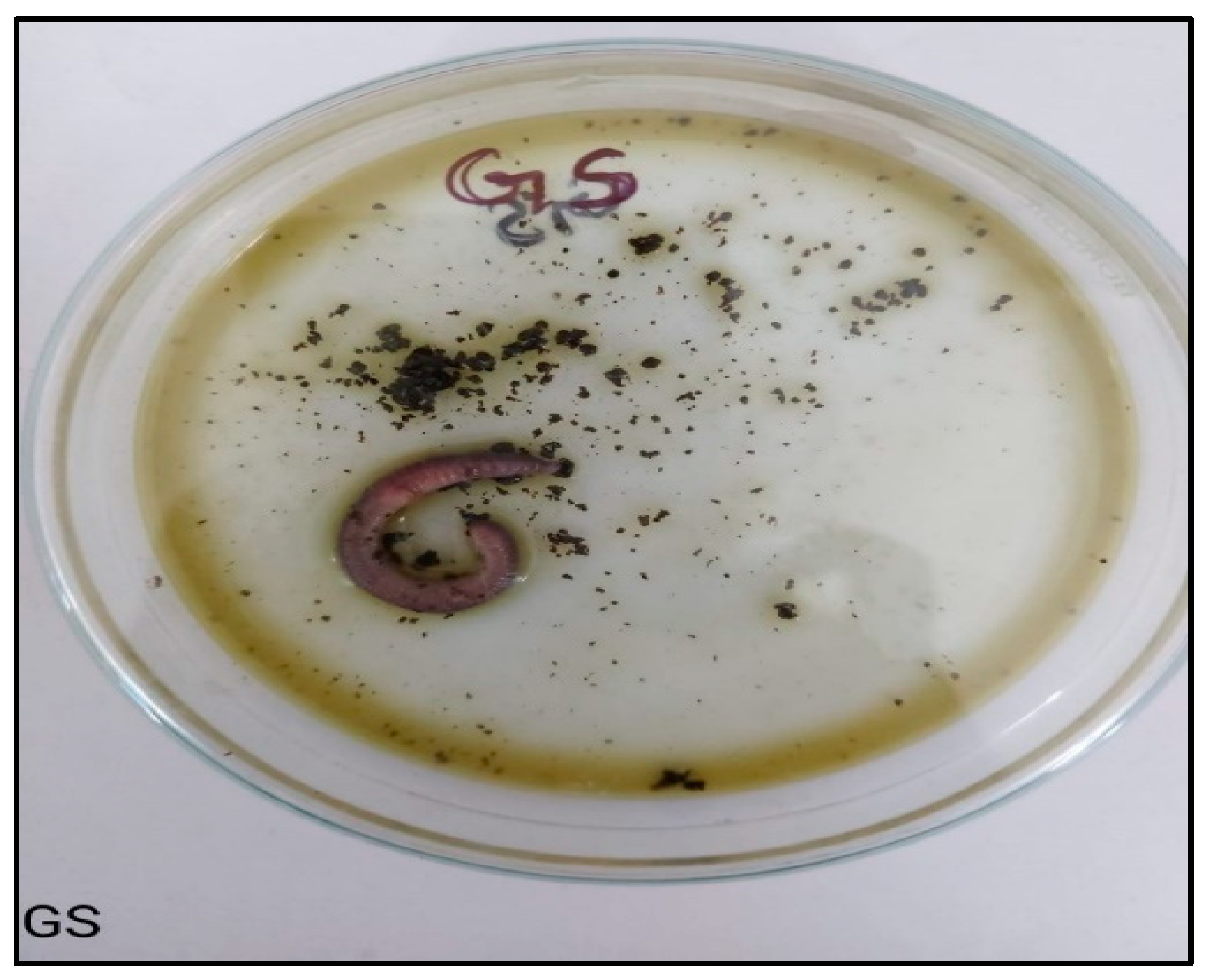 Separations 11 00050 g014