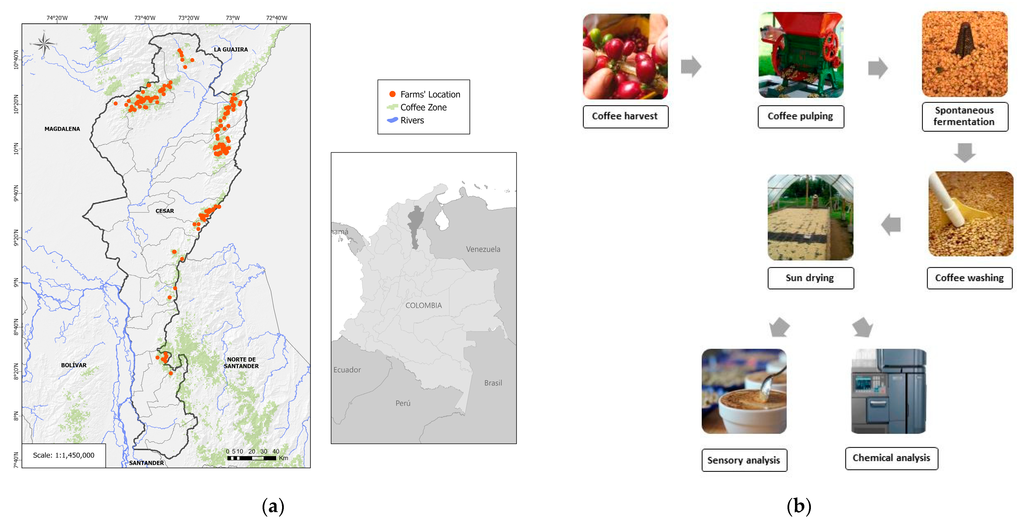 Separations 11 00052 g001