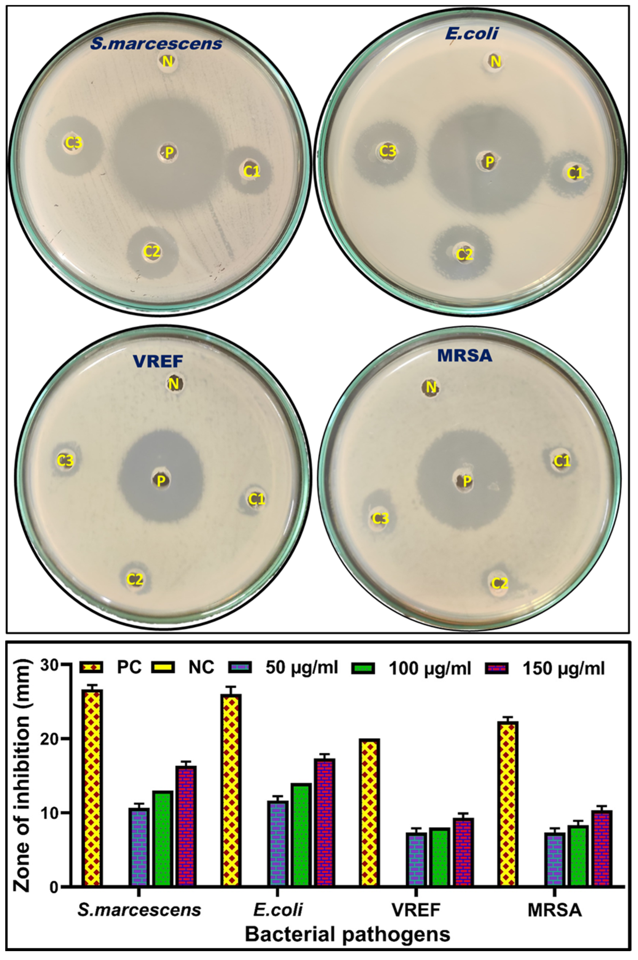Separations 11 00061 g010