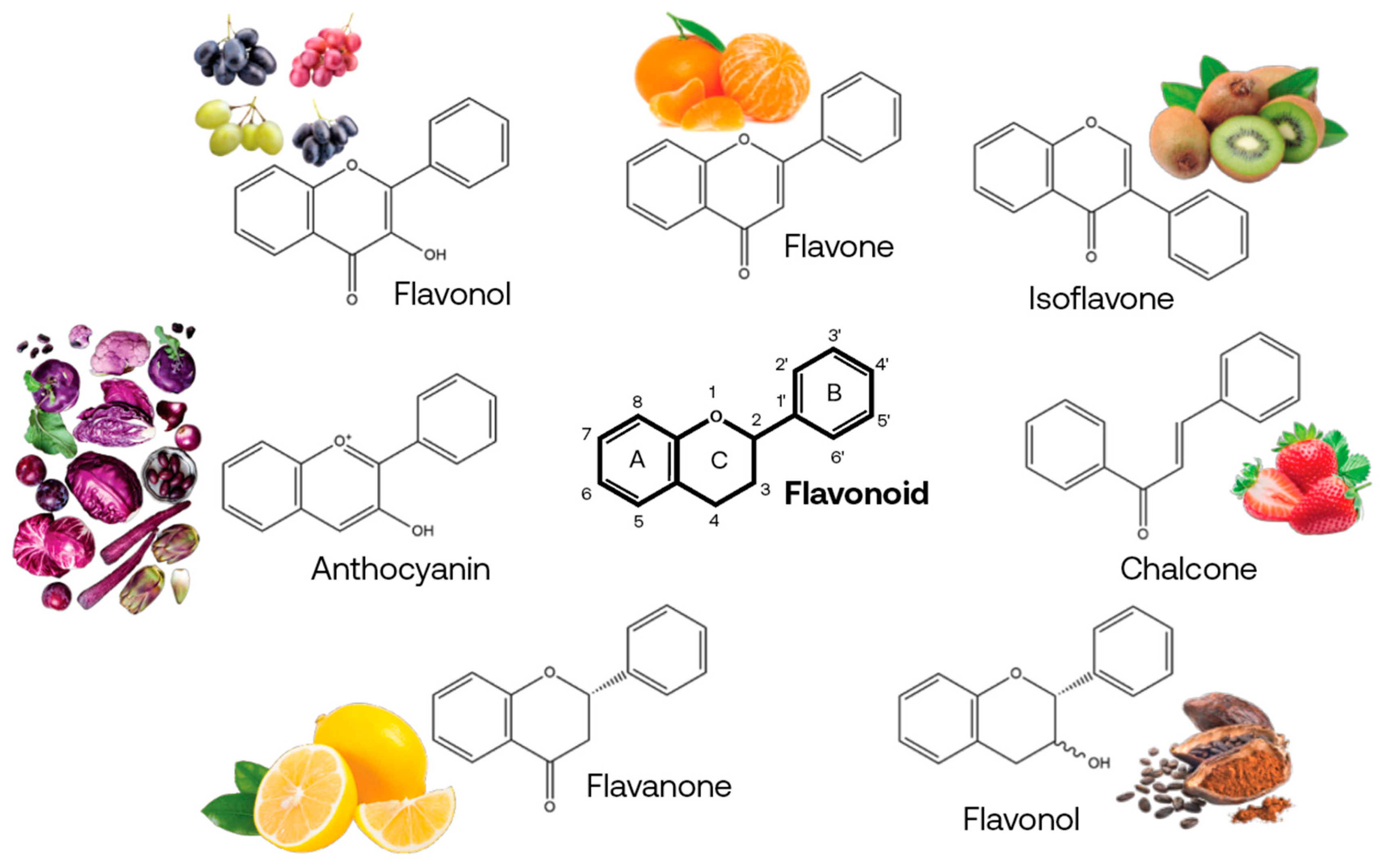 Separations 11 00064 g001