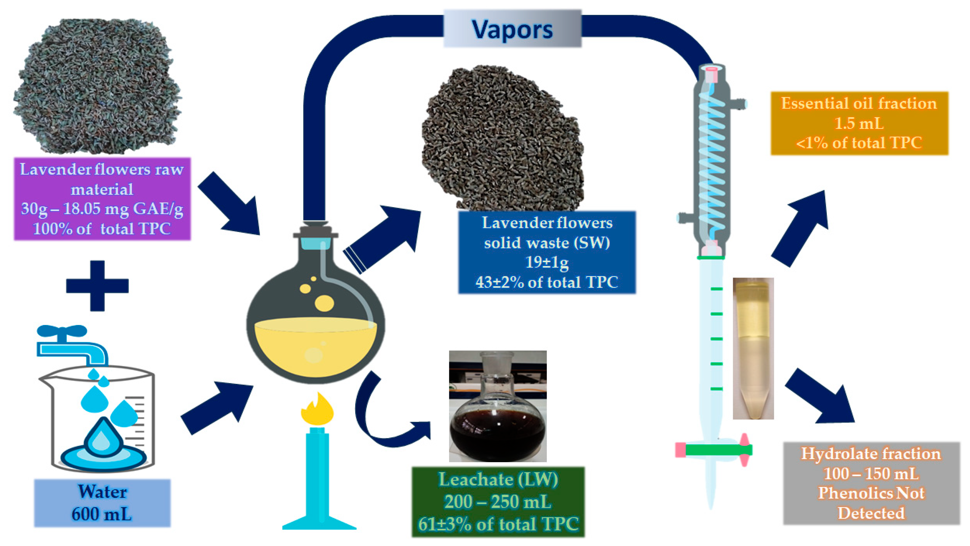 Separations 11 00067 g001