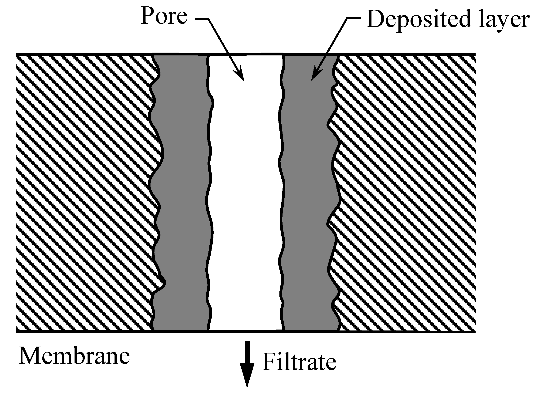 Separations 11 00070 g002
