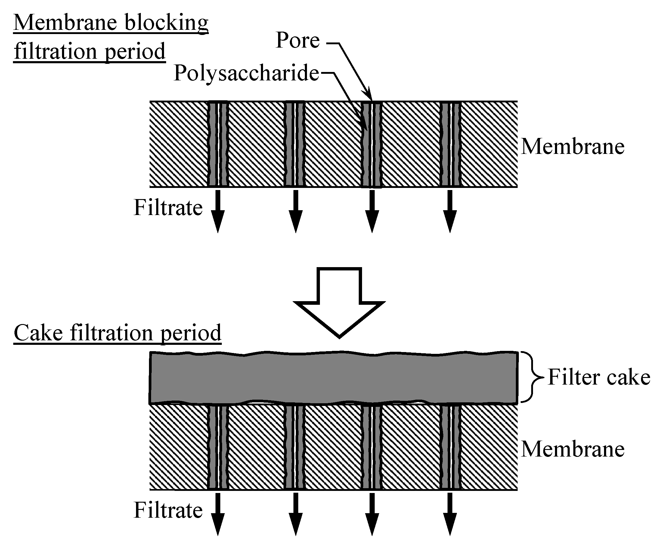 Separations 11 00070 g004