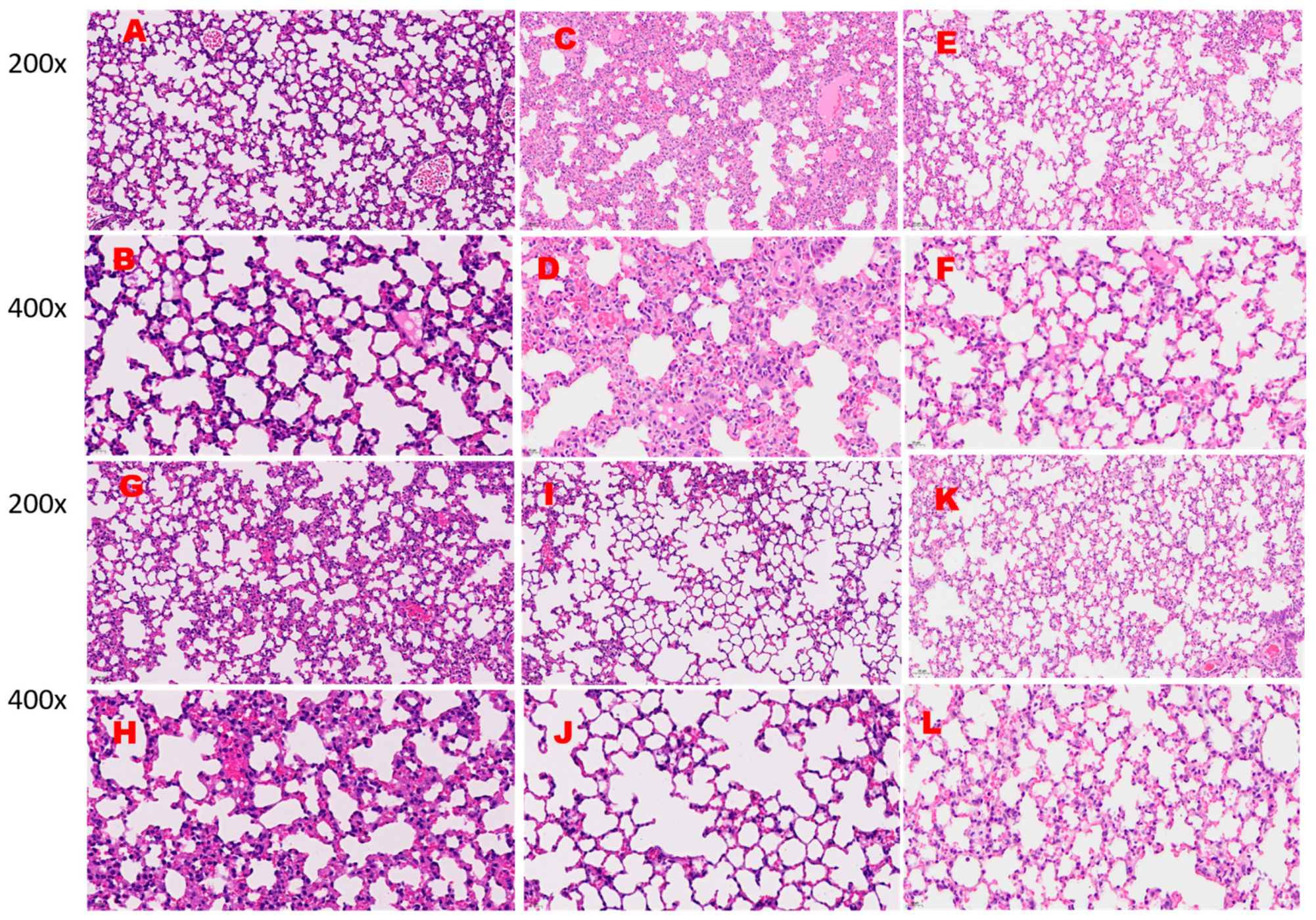 Separations 11 00074 g002