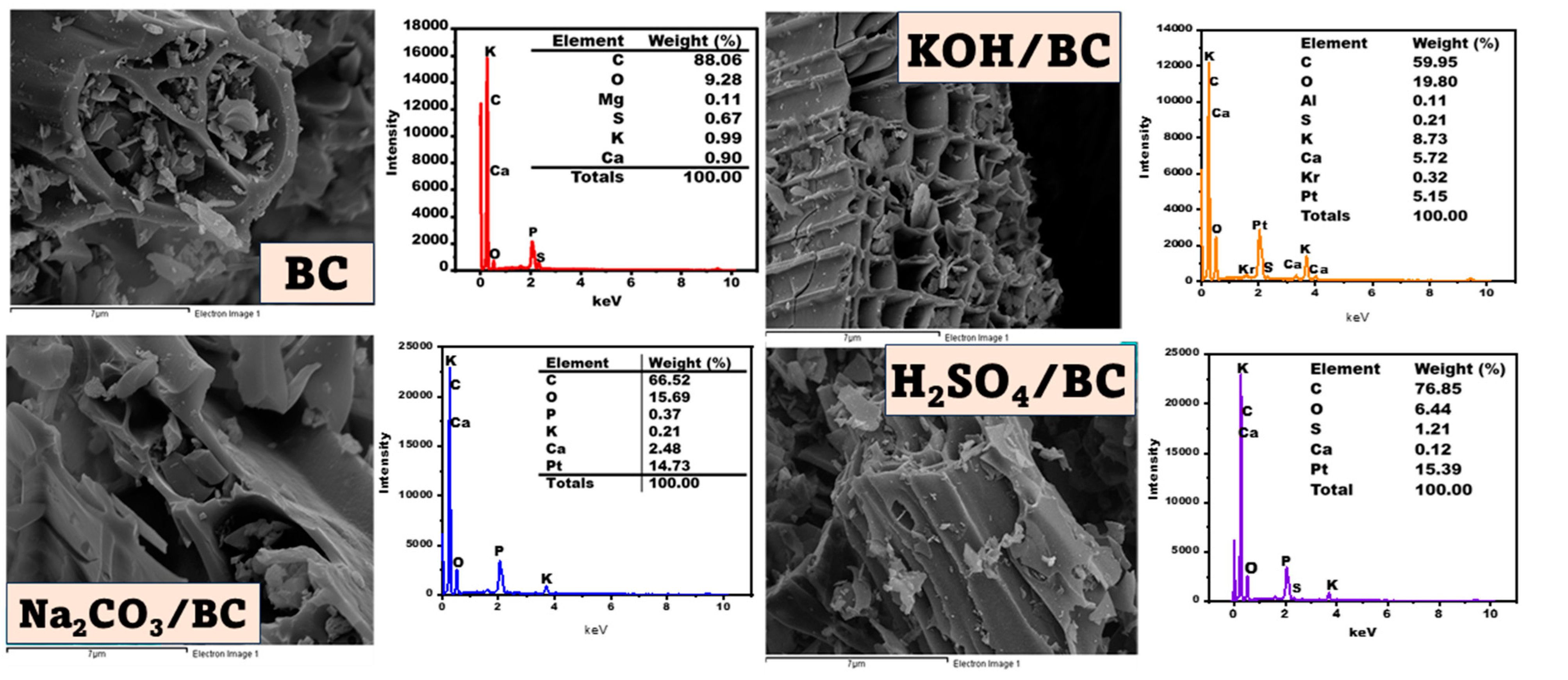 Separations 11 00078 g003