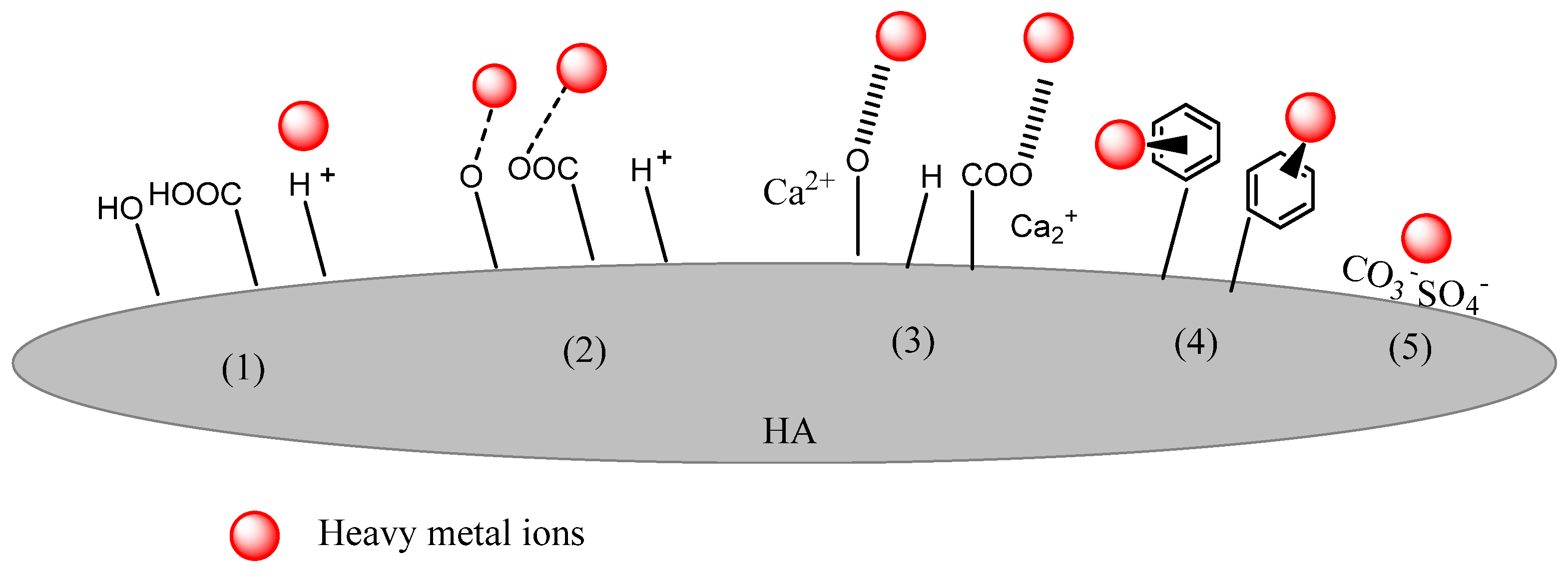 Separations 11 00080 g003