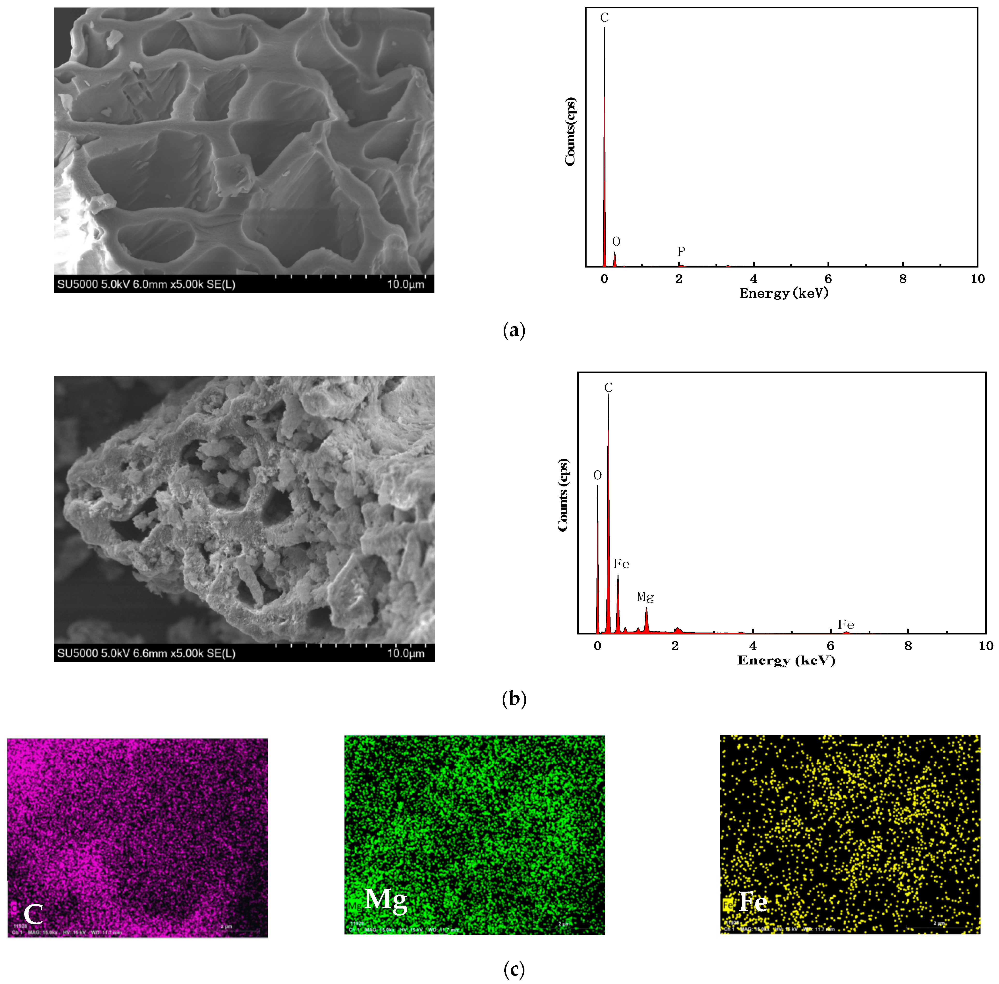 Separations 11 00086 g003