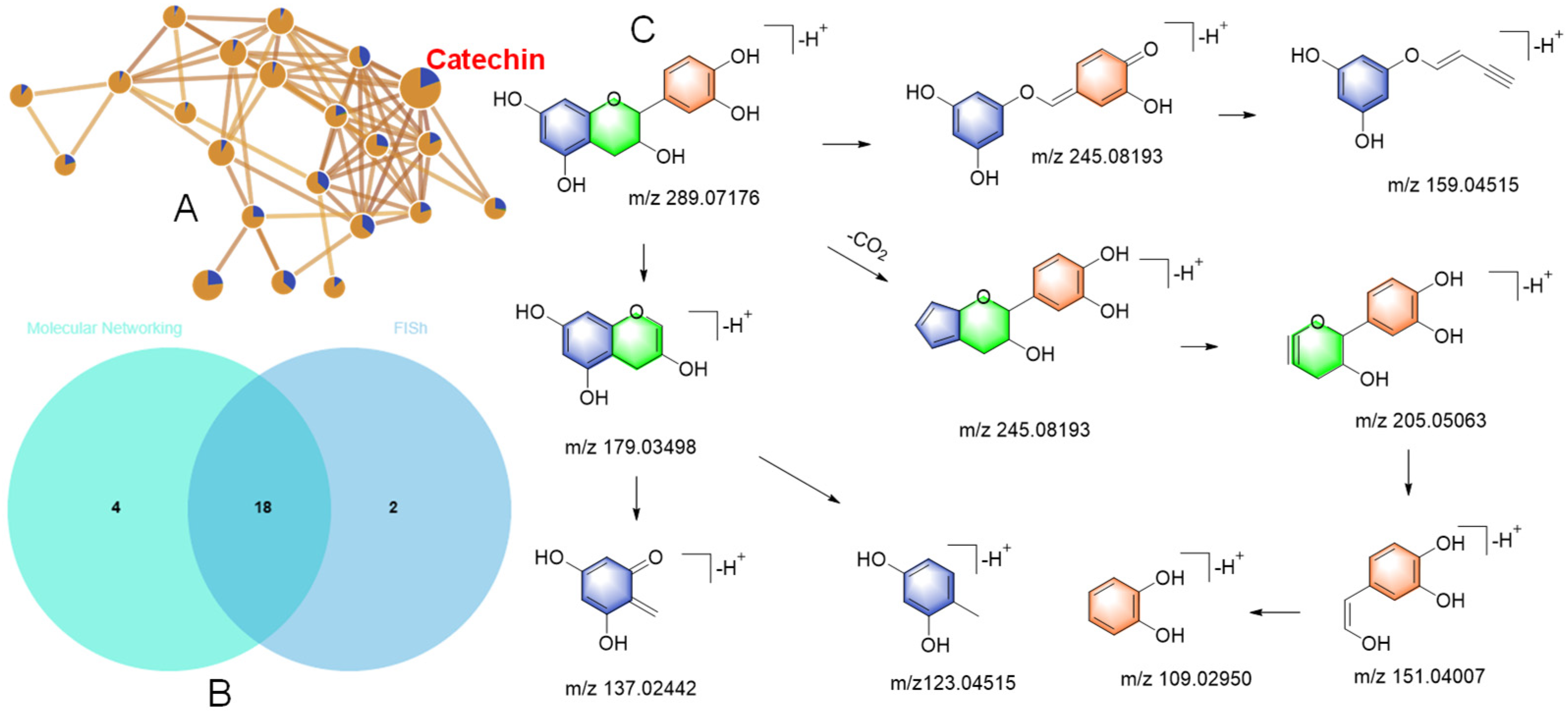 Separations 11 00087 g003