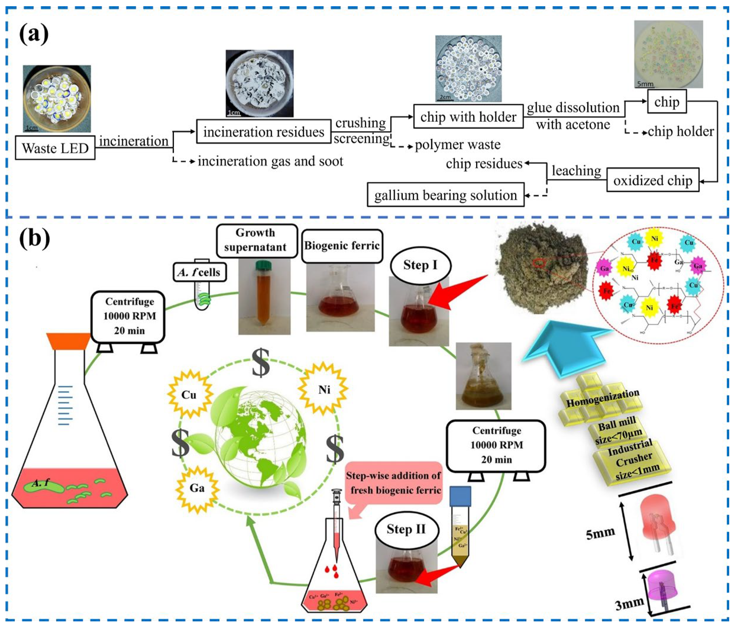 Separations 11 00091 g005