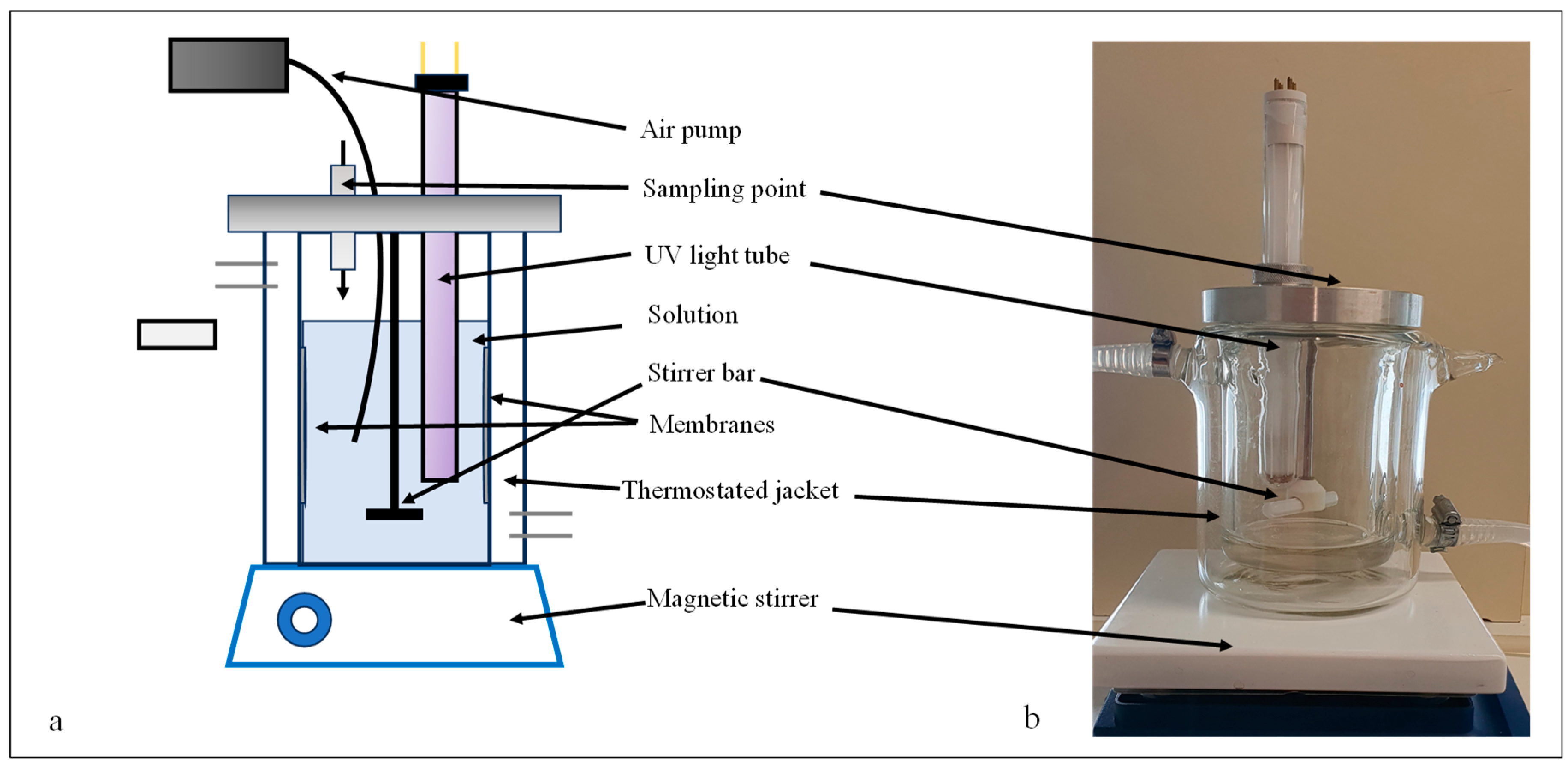 Separations 11 00112 g001