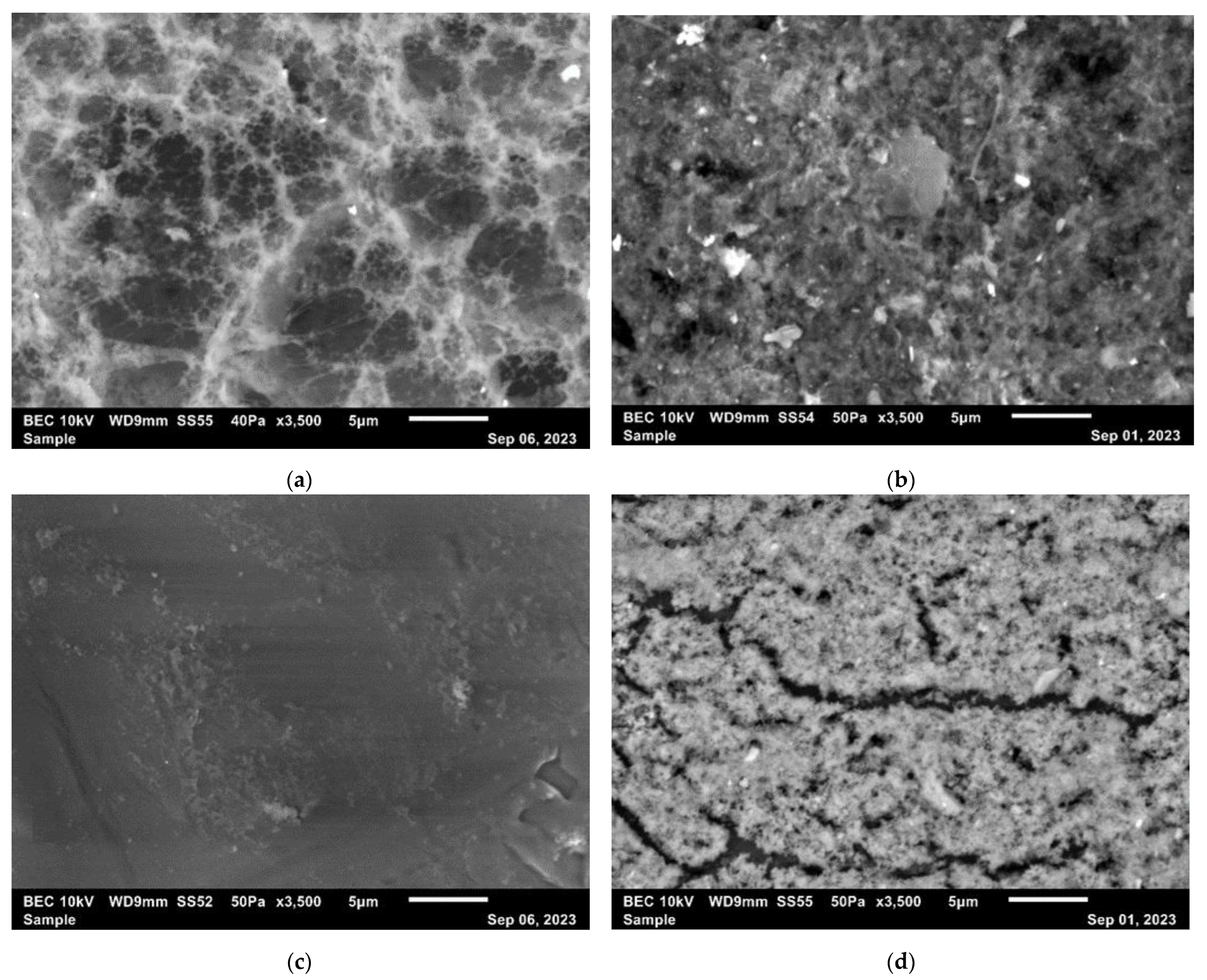 Separations 11 00115 g005