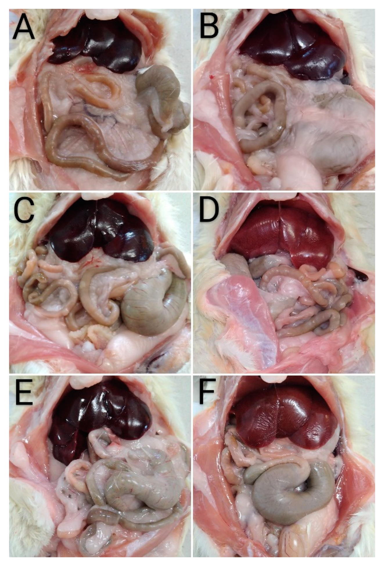 Separations 11 00117 g009